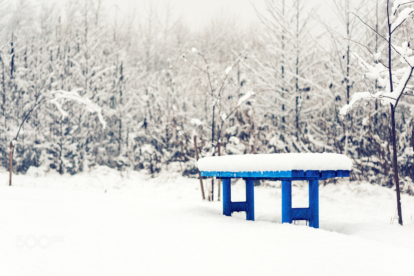 Sony Alpha NEX-5R + E 60mm F2.8 sample photo. Blue bench photography