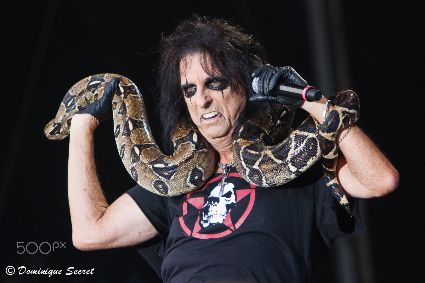 Canon EF 70-200mm F2.8L IS USM sample photo. Alice cooper photography