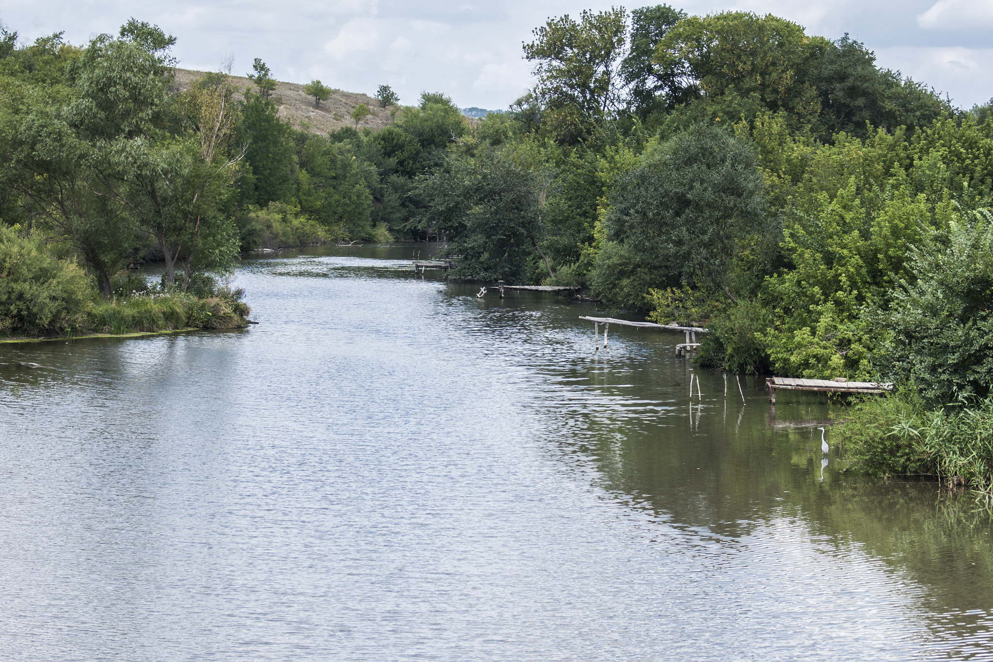 Sony 75-300mm F4.5-5.6 sample photo. Heron photography