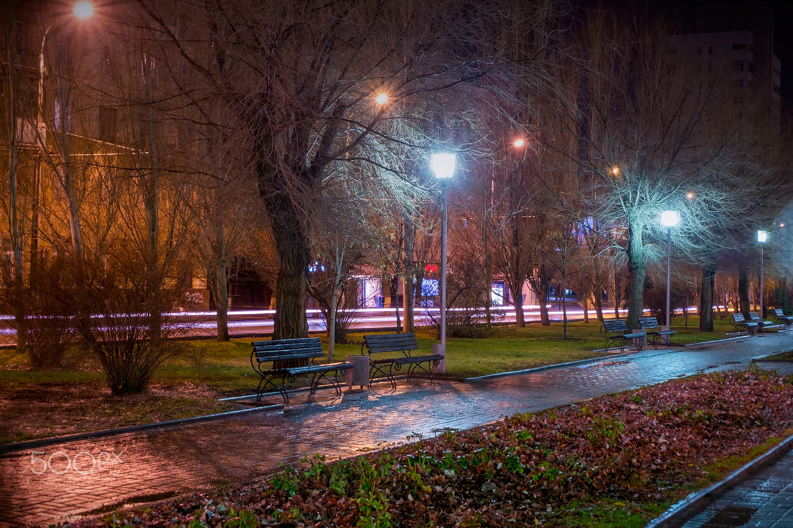 Fujifilm XC 16-50mm F3.5-5.6 OIS sample photo. Park photography