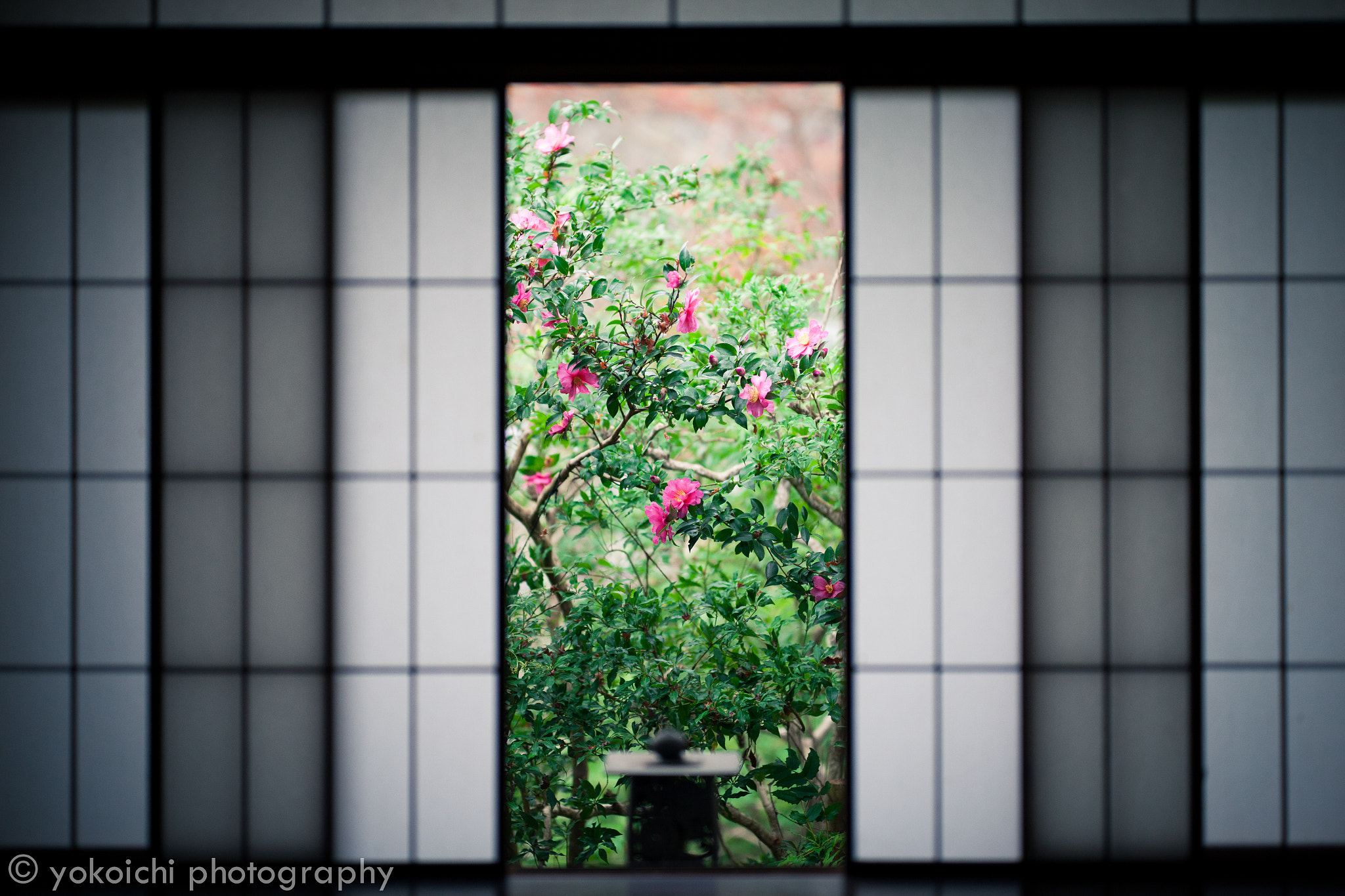 ZEISS Otus 85mm F1.4 sample photo. A calm atmosphere -tatazumai- photography
