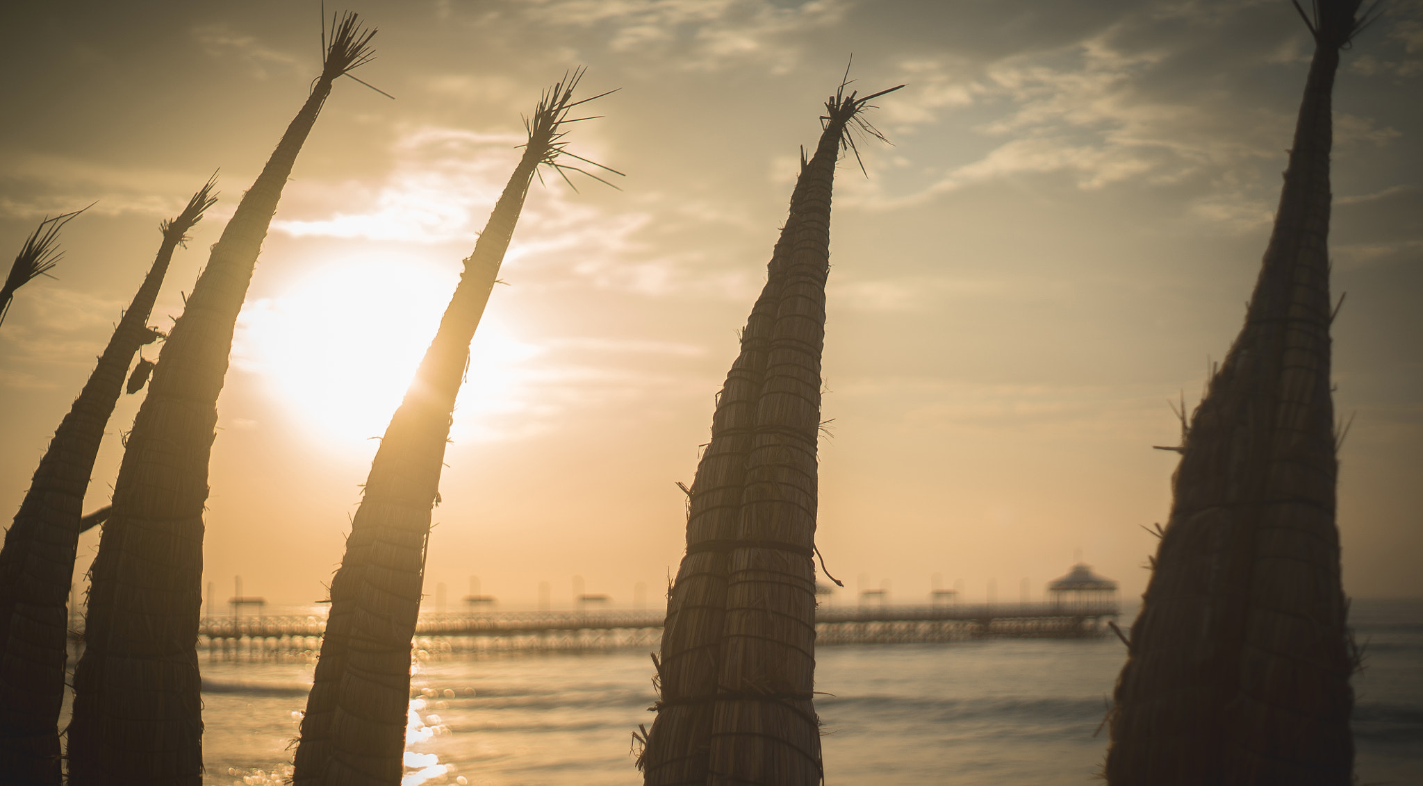Sony a7S + Minolta AF 50mm F1.7 sample photo. Dsc02290.jpg photography