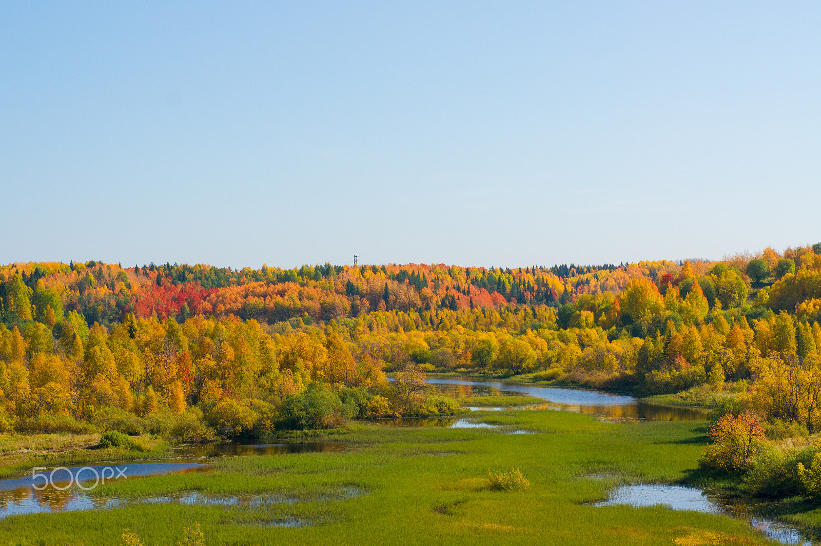 Sony Alpha DSLR-A450 + Sony 50mm F1.4 sample photo. Arkhangelsk, malye korely open-air museum photography