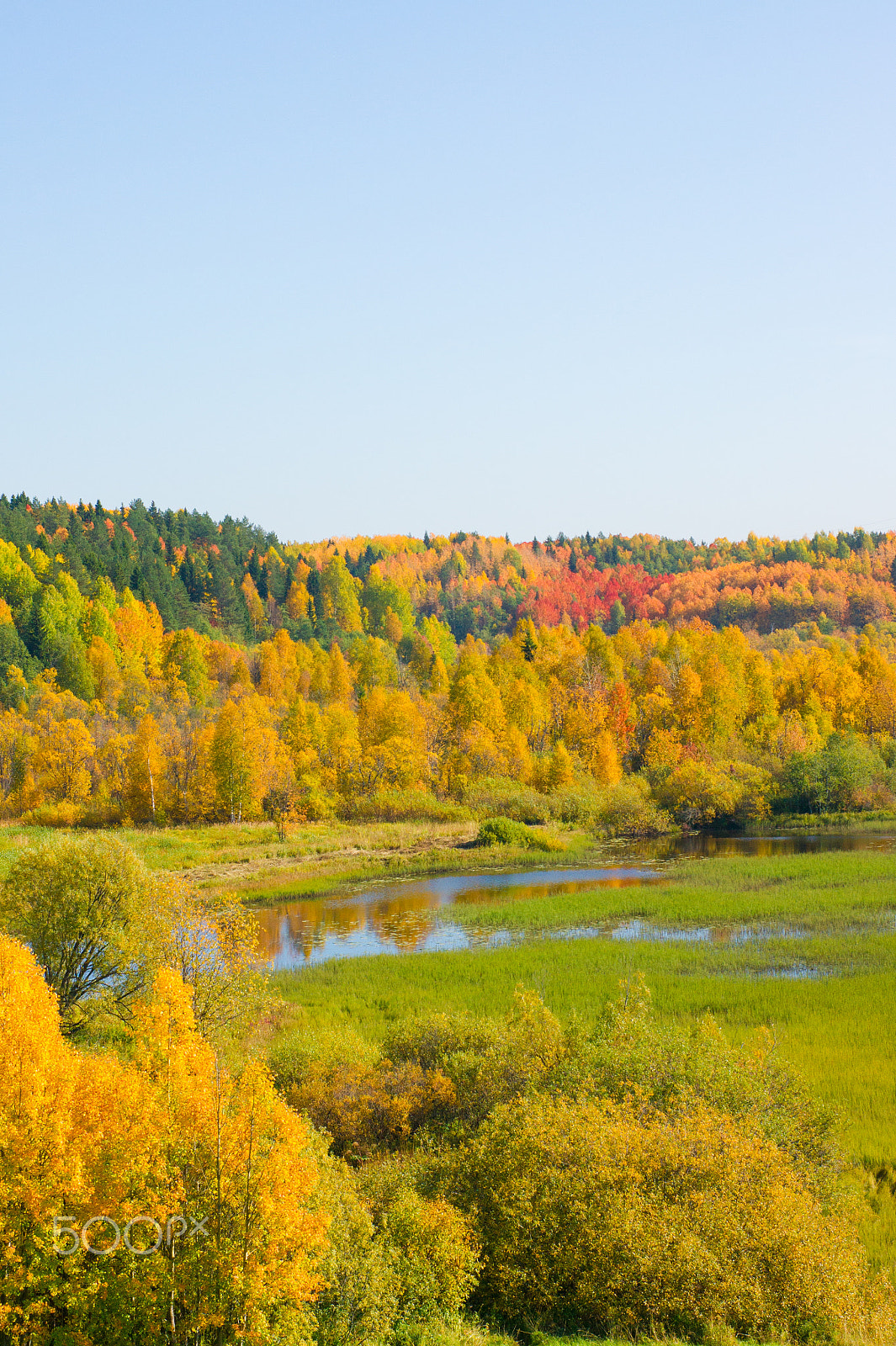 Sony Alpha DSLR-A450 + Sony 50mm F1.4 sample photo. Arkhangelsk, malye korely open-air museum photography