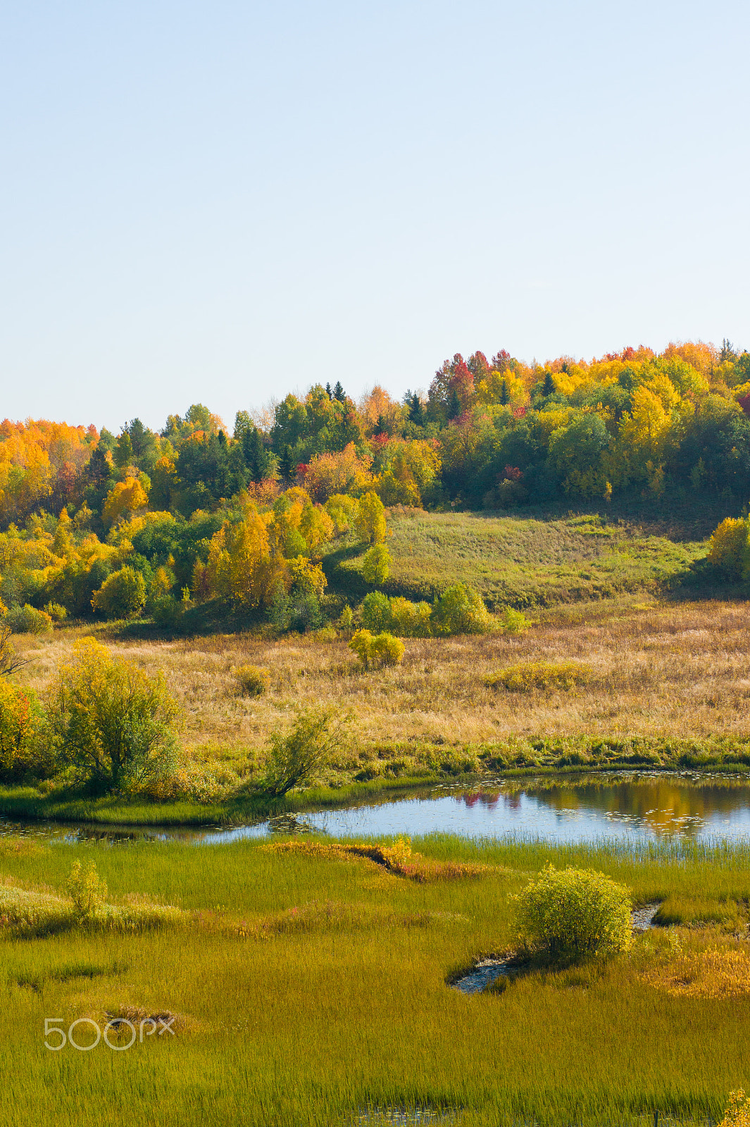 Sony Alpha DSLR-A450 + Sony 50mm F1.4 sample photo. Arkhangelsk, malye korely open-air museum photography