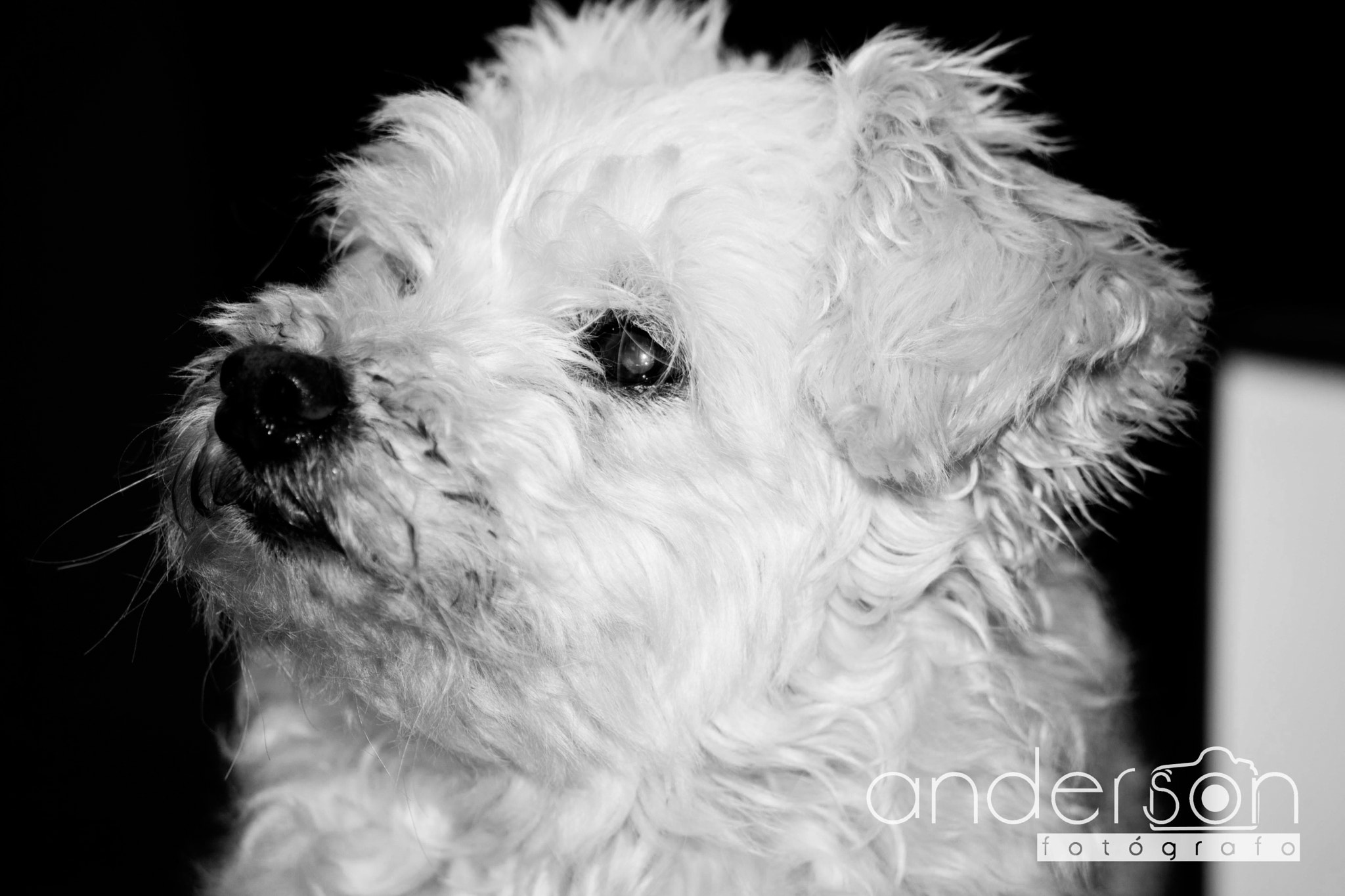 Sigma 70-300mm F4-5.6 APO DG Macro sample photo. Lilicas life photography