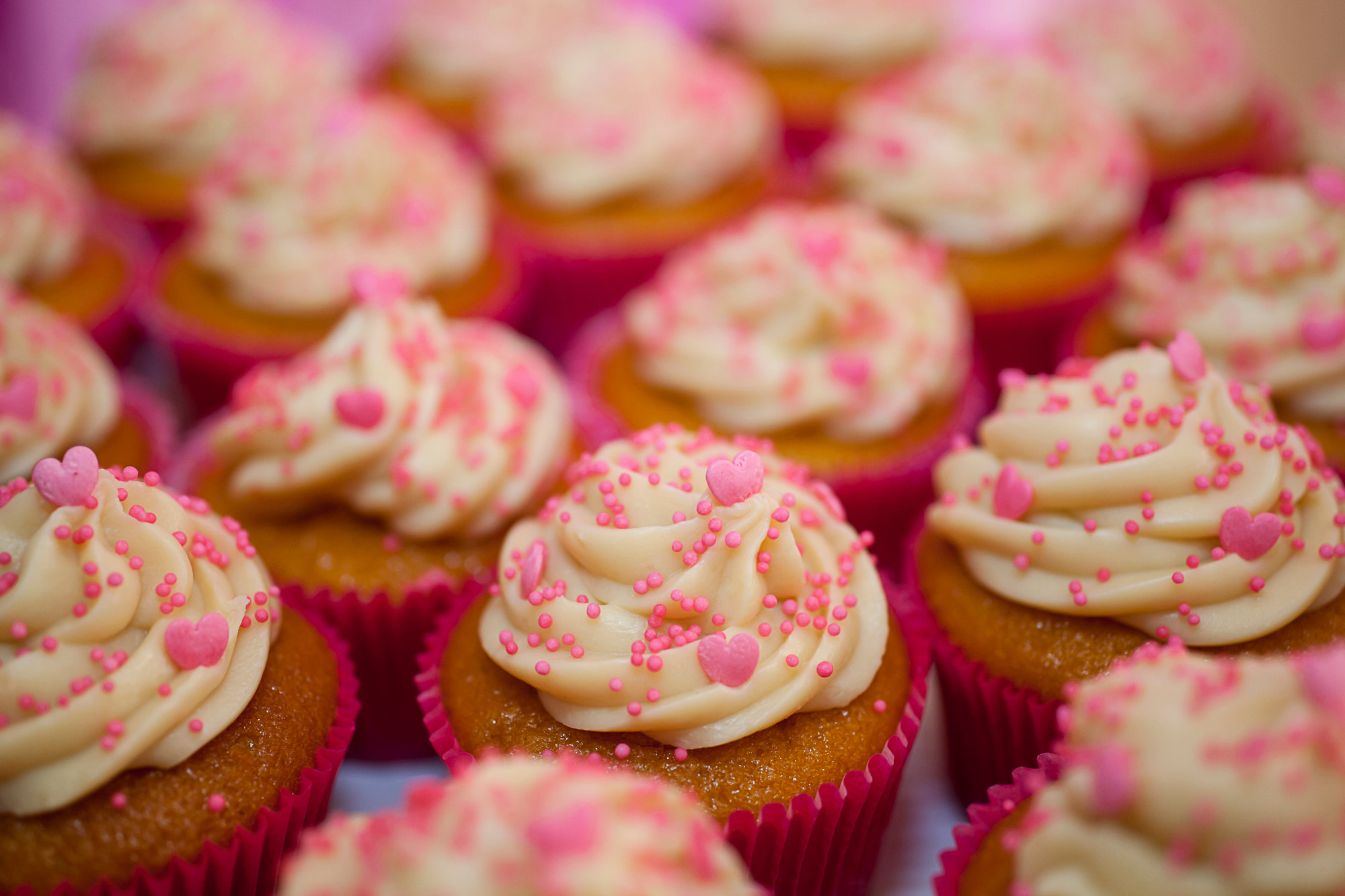 Sigma 50mm f/2.8 EX sample photo. Pink cupcakes photography