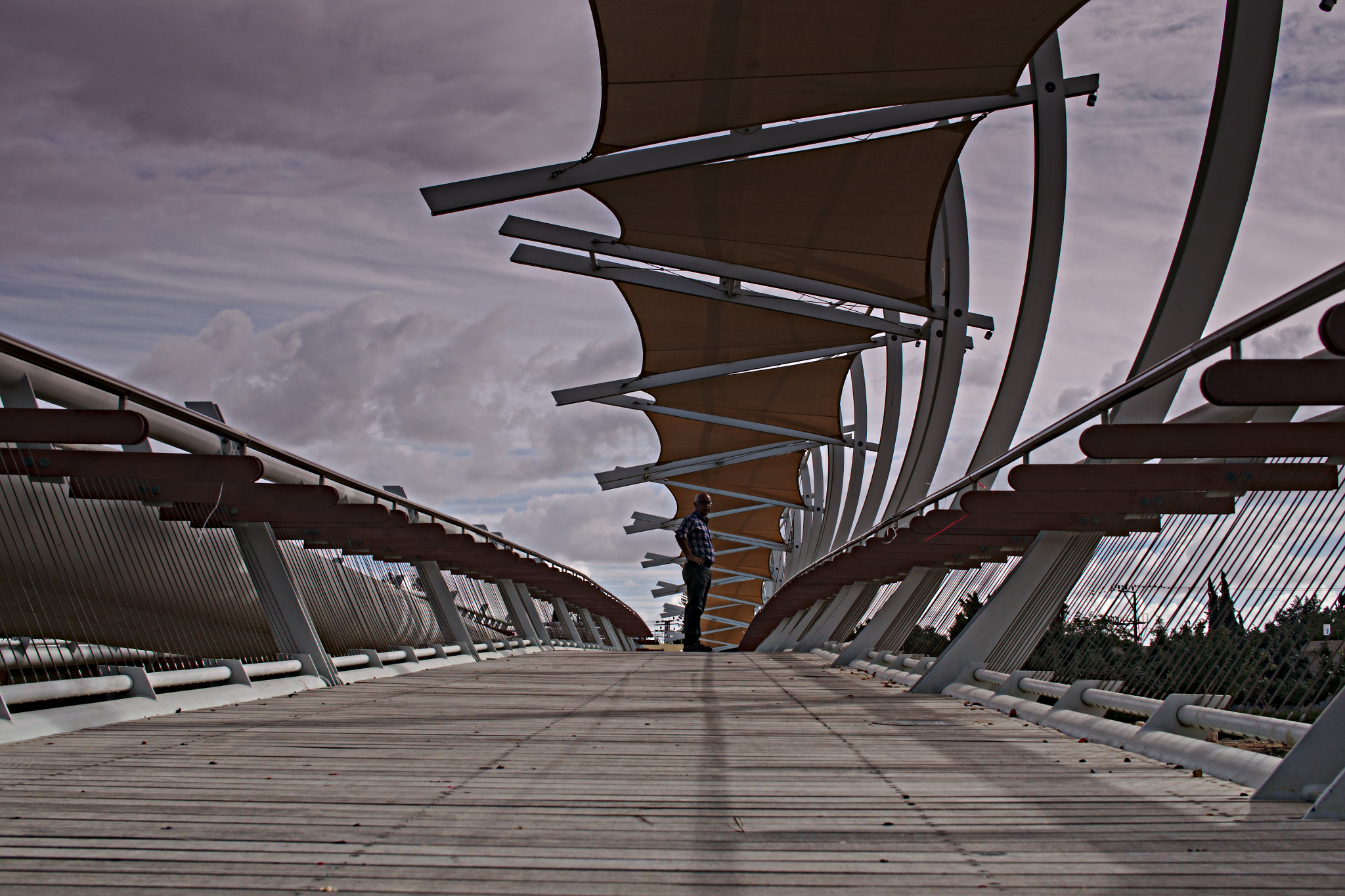 Sony Alpha NEX-5N + Sigma 30mm F2.8 EX DN sample photo. The bridge of pipes photography