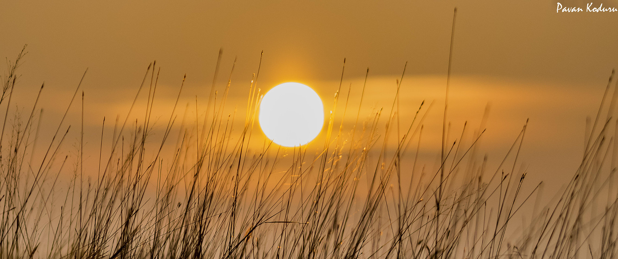 Sigma 150-500mm F5-6.3 DG OS HSM sample photo. Colors of nature photography