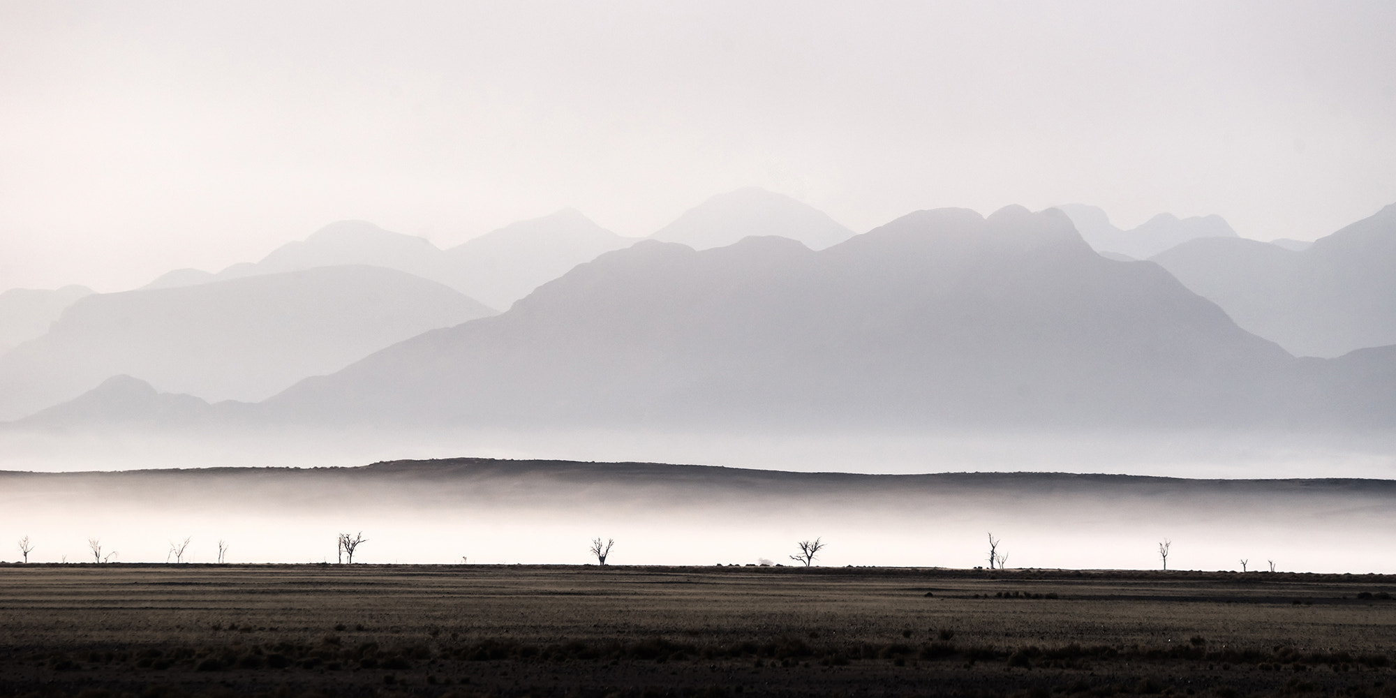 Sony a99 II + Sony 70-400mm F4-5.6 G SSM sample photo. Silouettes photography