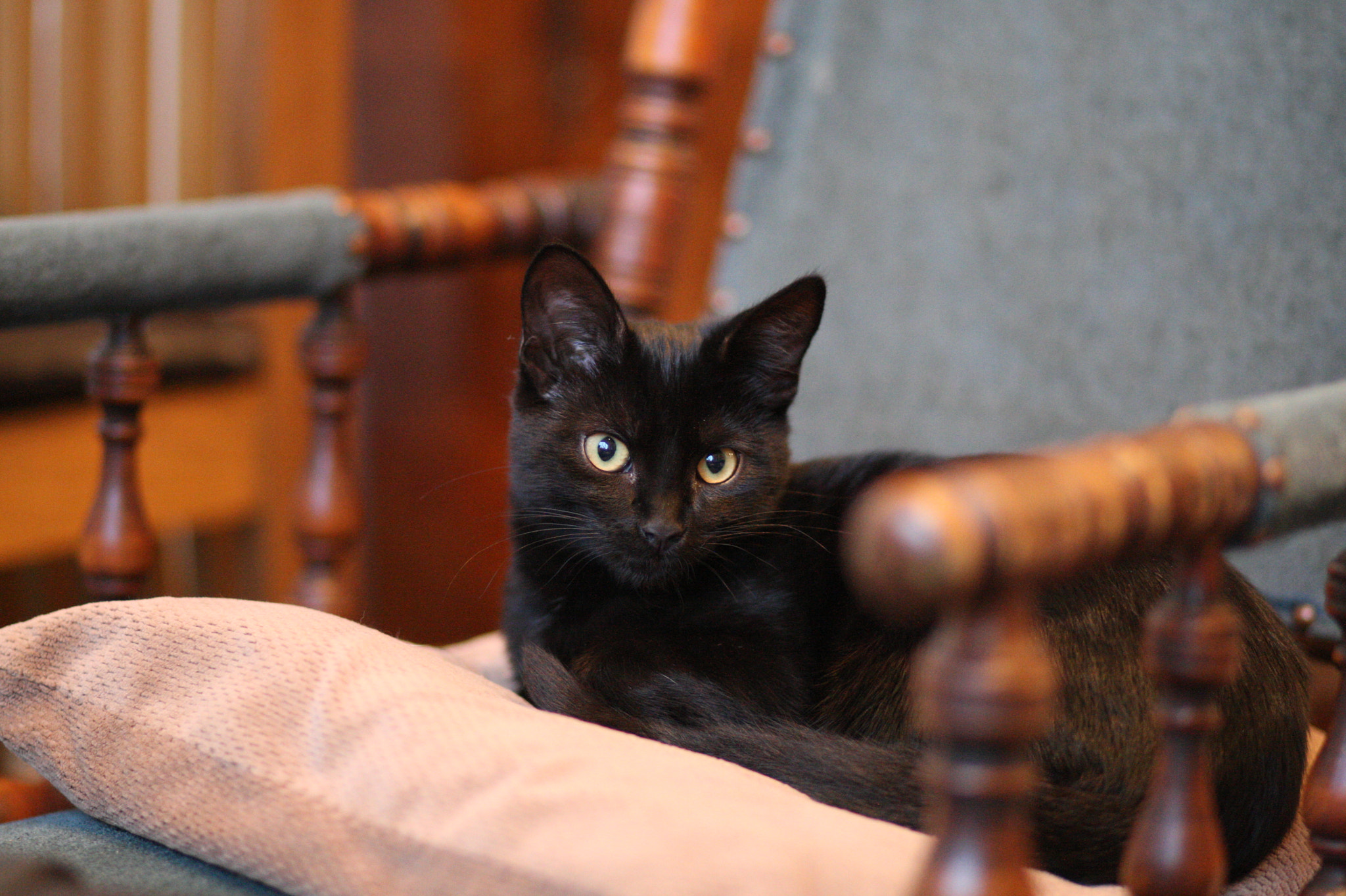 Canon EOS-1D Mark III sample photo. Iso test - 1diii @ 3200 photography