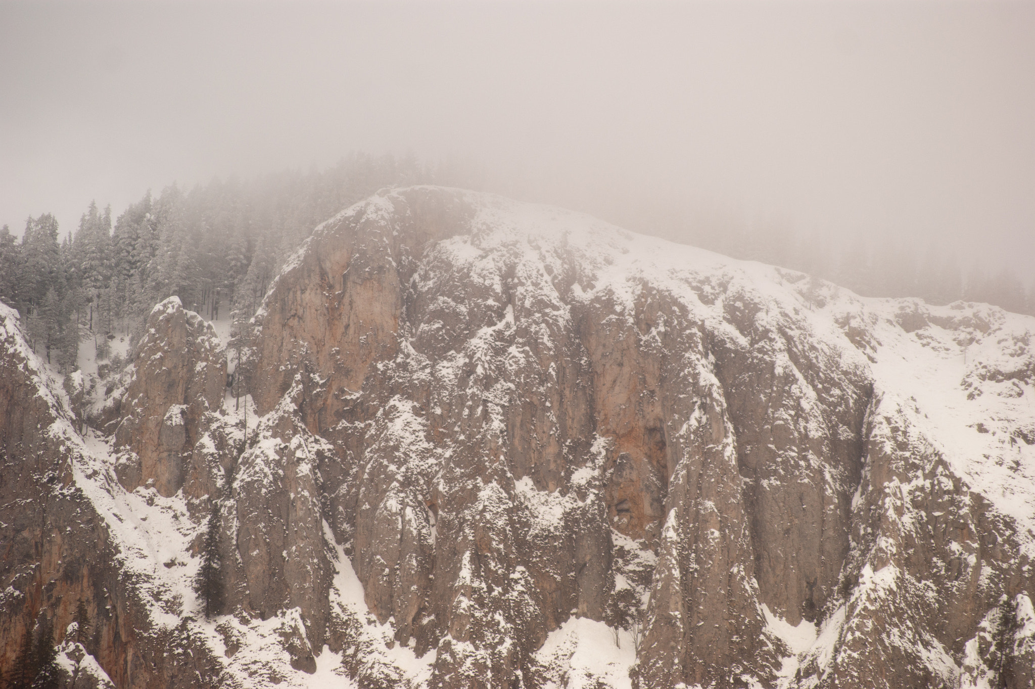 Sony Alpha DSLR-A350 + Tamron AF 55-200mm F4-5.6 Di II LD Macro sample photo. Winter approaching photography