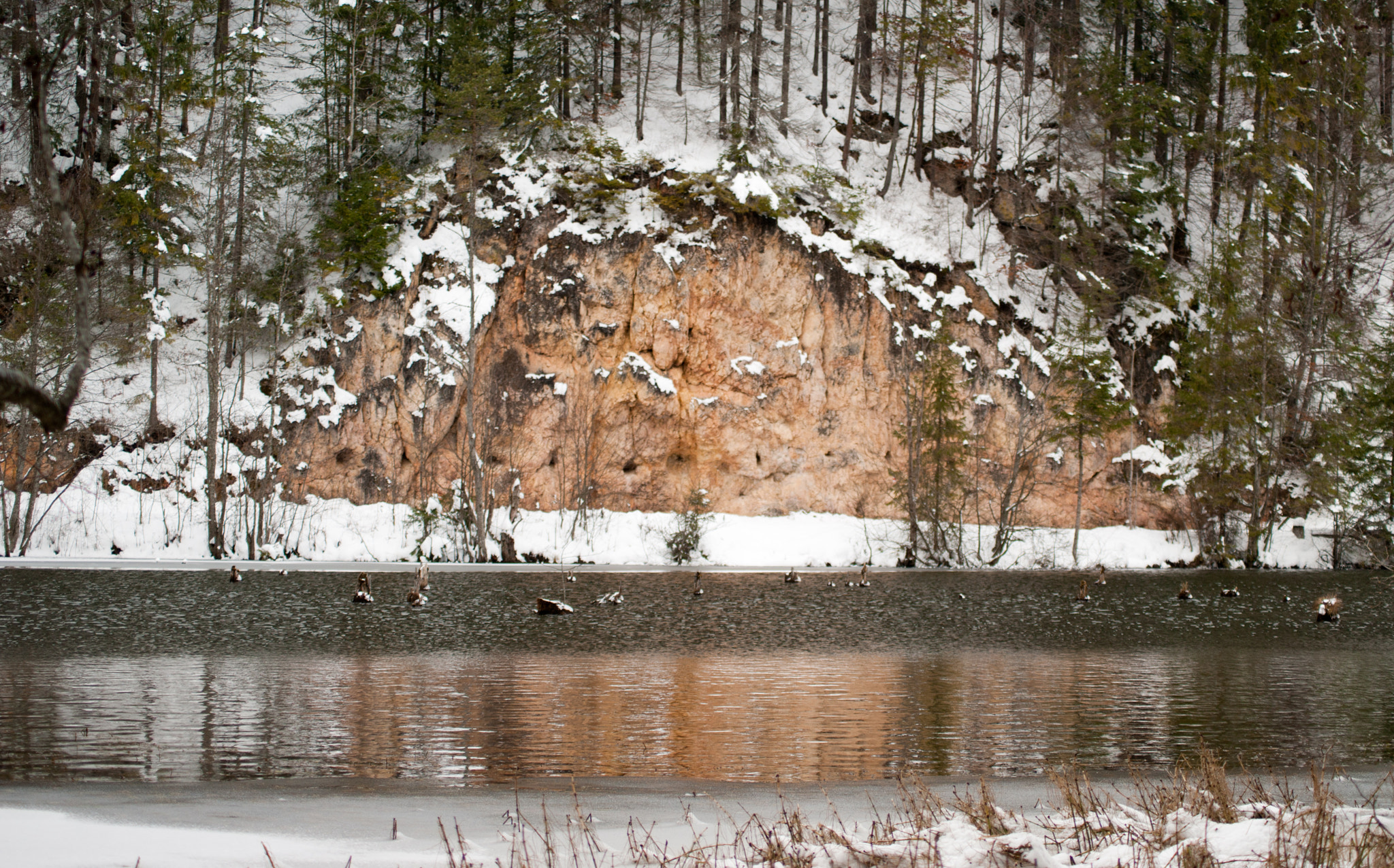 Tamron AF 55-200mm F4-5.6 Di II LD Macro sample photo. Winter approaching photography