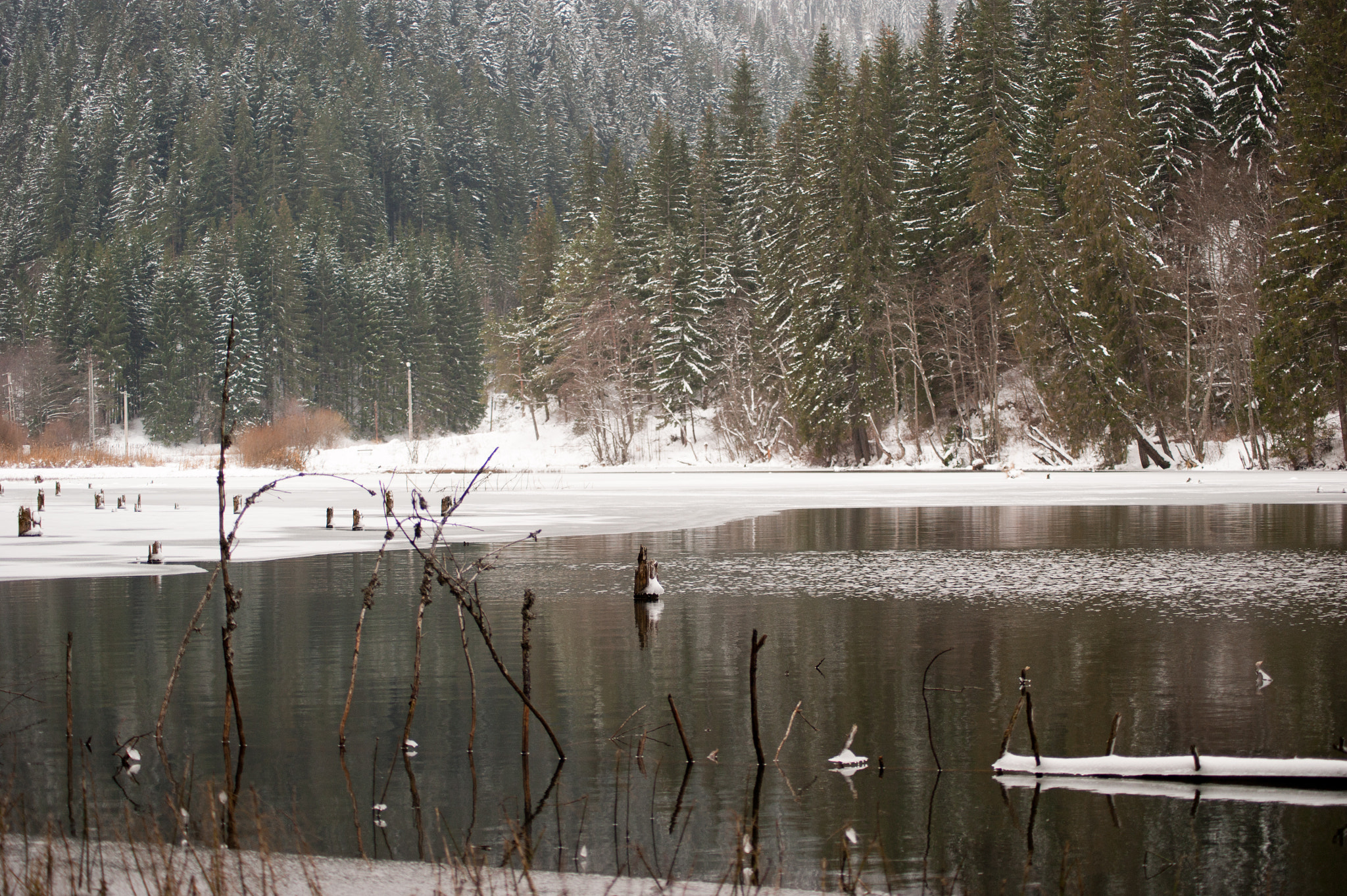 Sony Alpha DSLR-A350 + Tamron AF 55-200mm F4-5.6 Di II LD Macro sample photo. Winter approaching photography