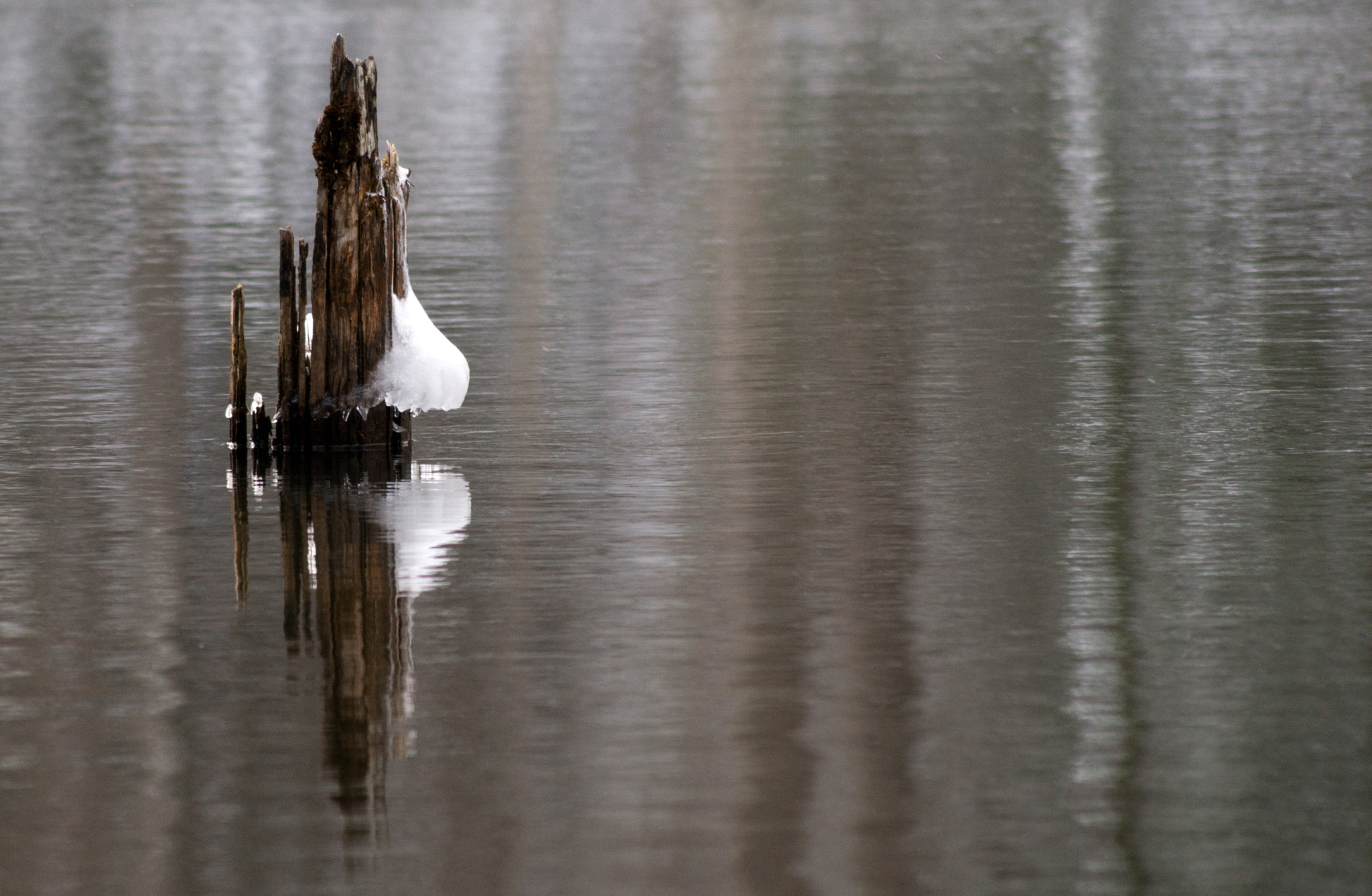 Sony Alpha DSLR-A350 + Tamron AF 55-200mm F4-5.6 Di II LD Macro sample photo. Winter approaching photography