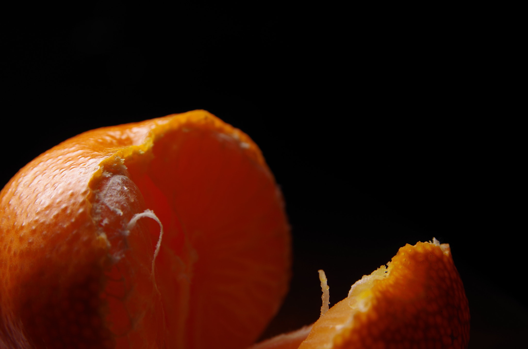 Sigma 17-70mm F2.8-4 DC Macro OS HSM sample photo. Tangerine photography