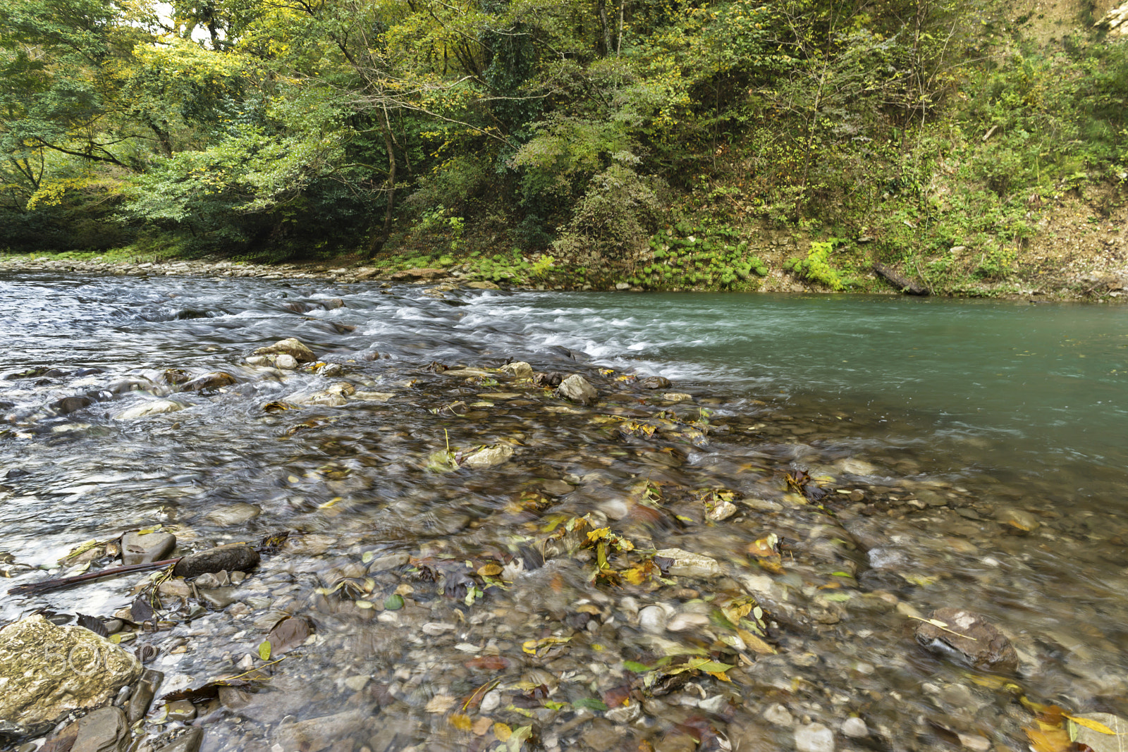 Sony a99 II + Sony 20mm F2.8 sample photo. Beautifull fall day on river photography