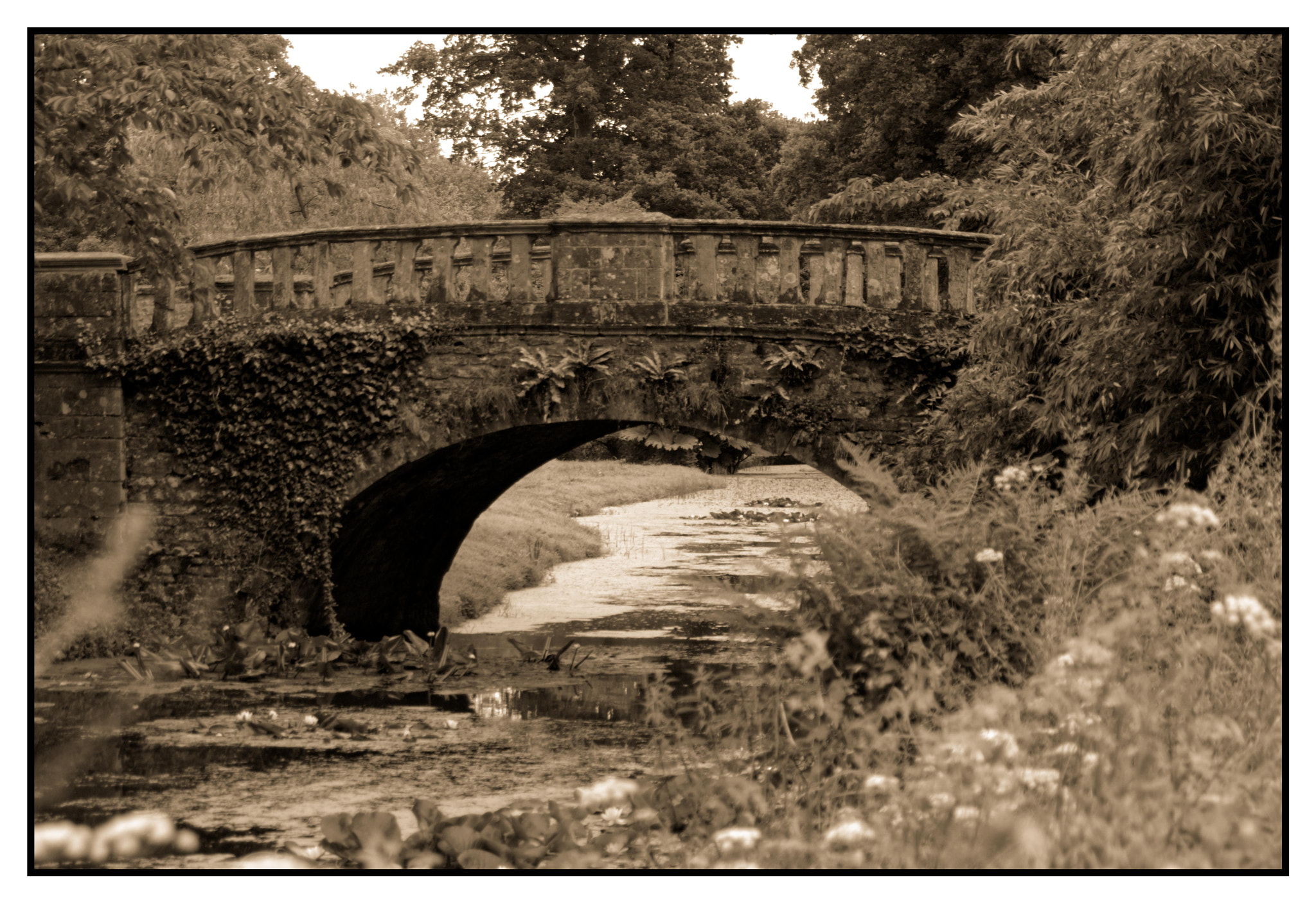 Pentax K10D sample photo. Dorset garden bridge. 1 photography