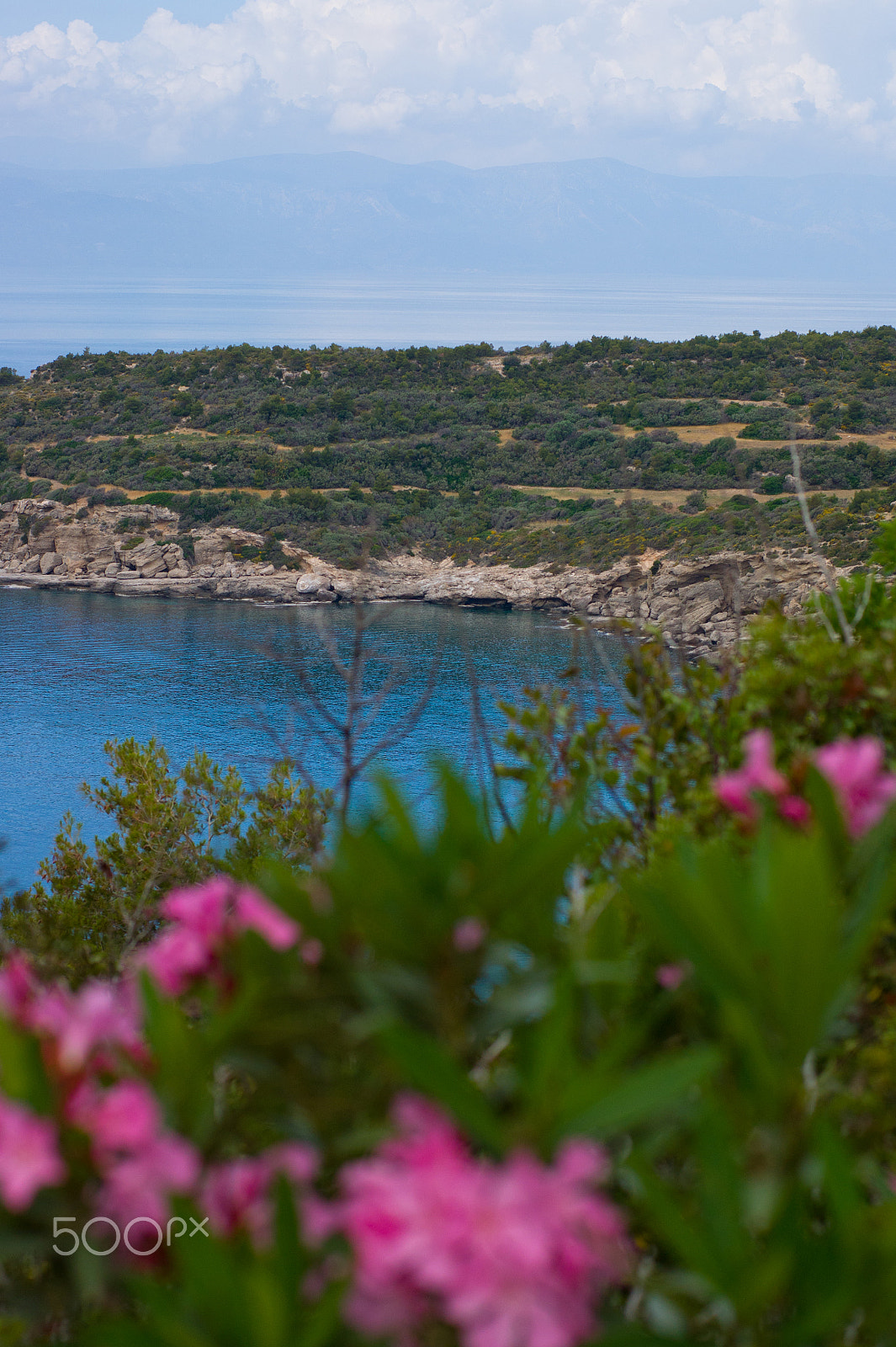 Sony Alpha DSLR-A450 + Sony 50mm F1.4 sample photo. Spetses photography
