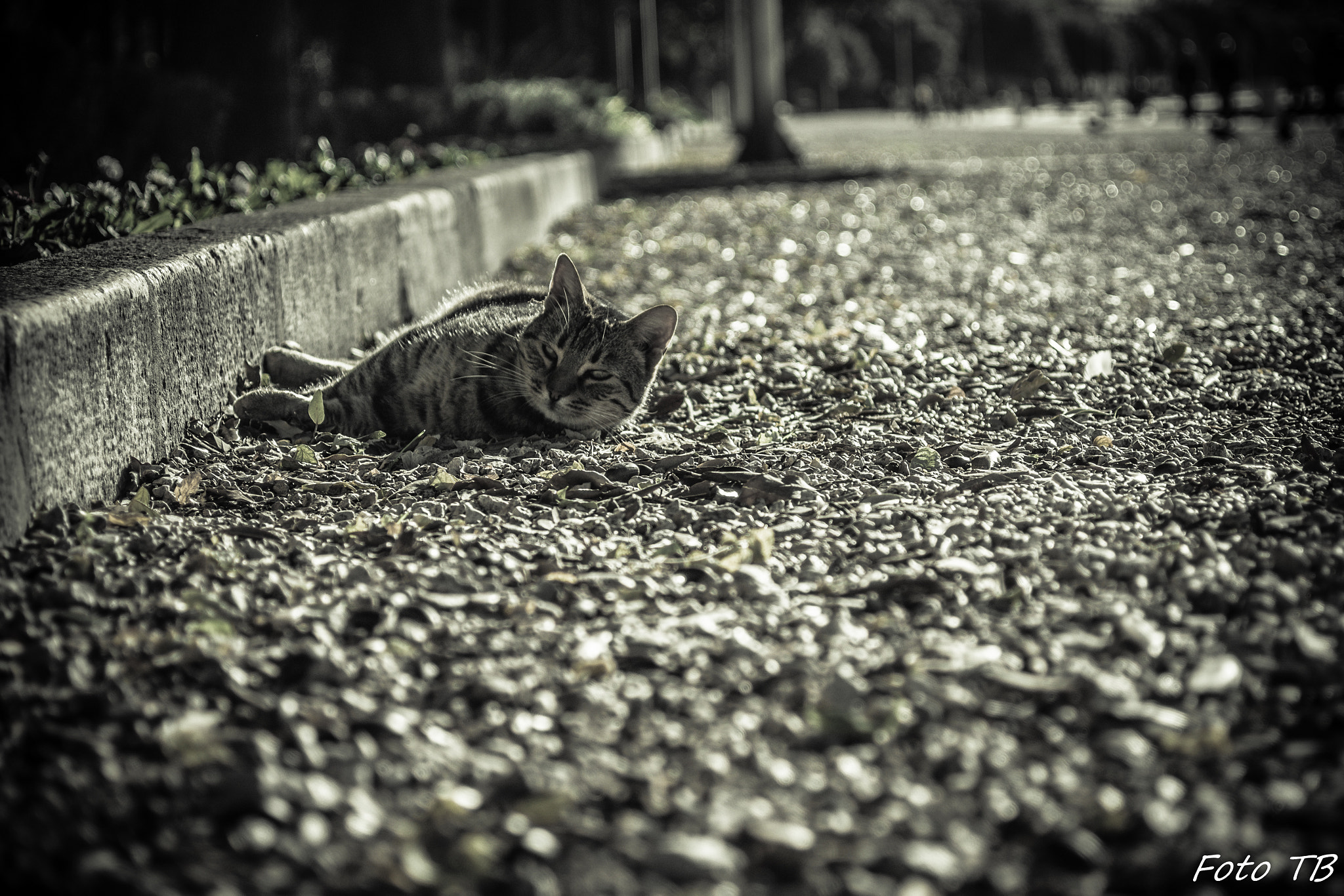 AF Zoom-Nikkor 28-70mm f/3.5-4.5D sample photo. Chill photography