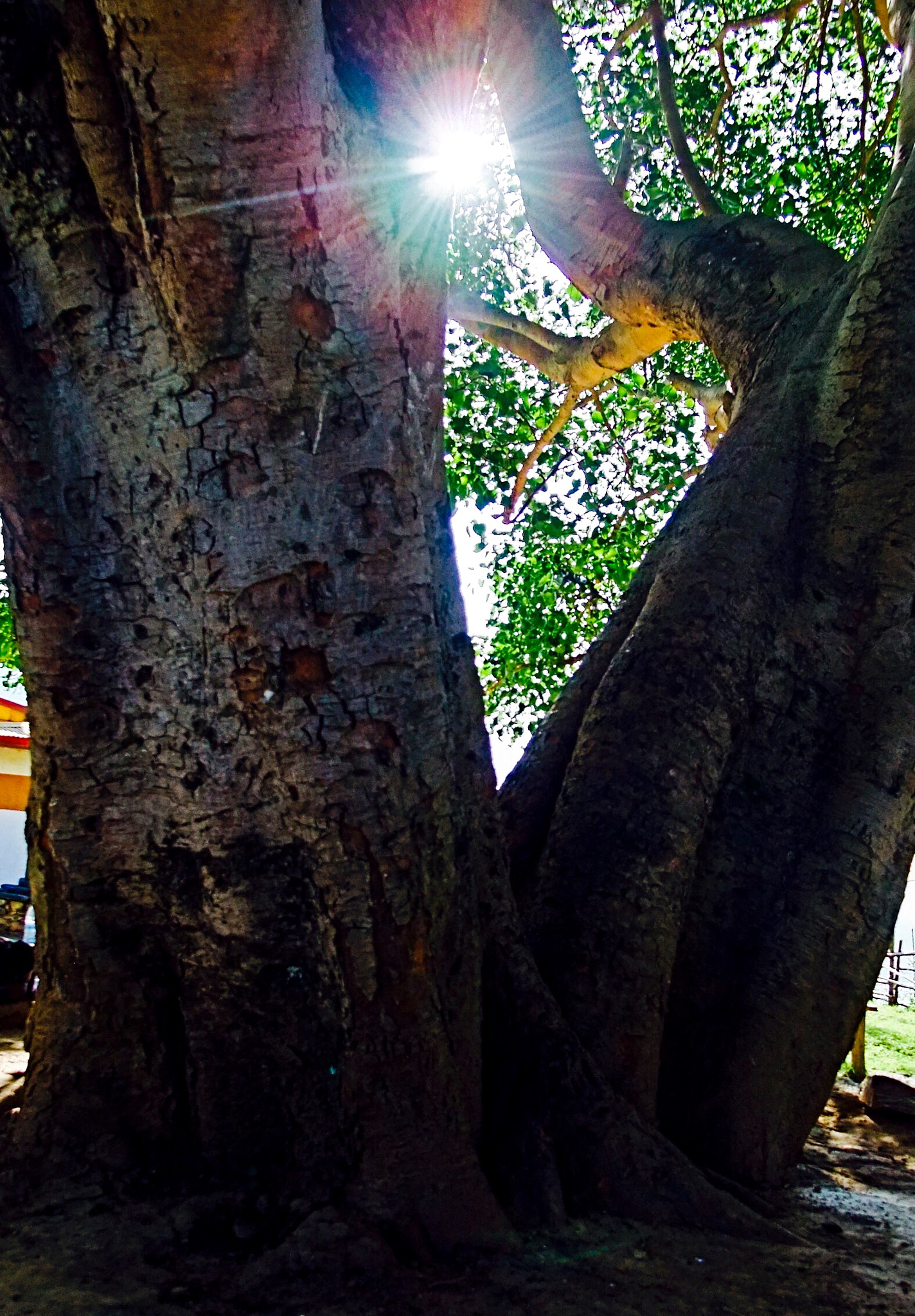 Fujifilm FinePix F200EXR sample photo. Ray of hope photography