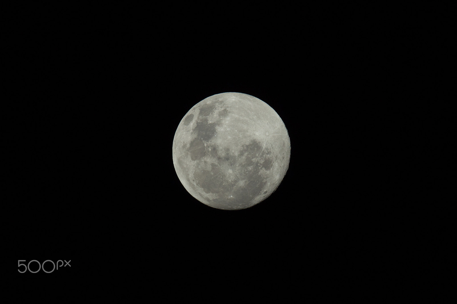 Canon EOS 600D (Rebel EOS T3i / EOS Kiss X5) + Canon EF 400mm F4.0 DO IS USM sample photo. Blue moon photography