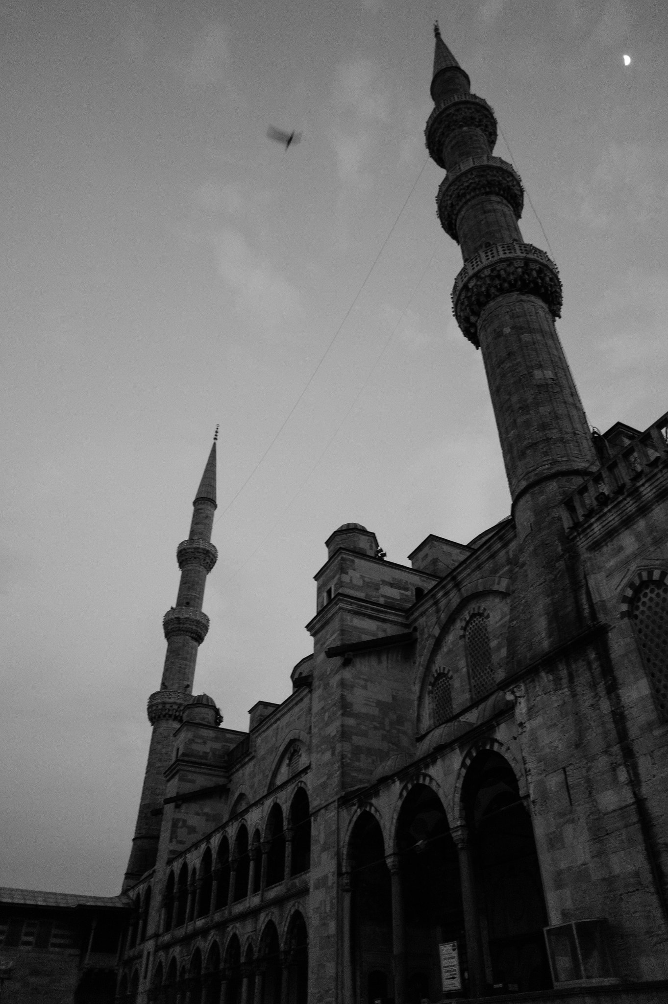 Leica M9 + Leica Elmarit-M 24mm F2.8 ASPH sample photo. - photography