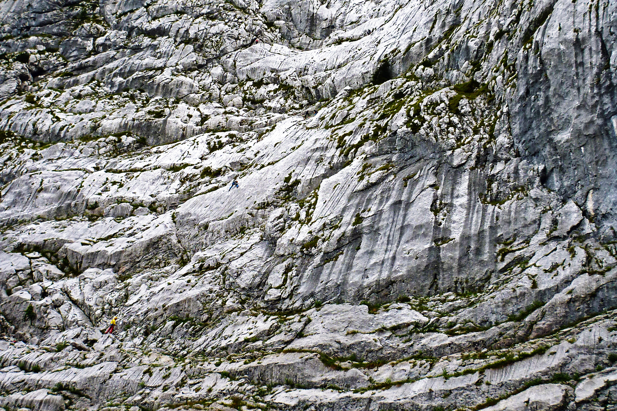 Panasonic DMC-FT3 sample photo. People vs nature photography