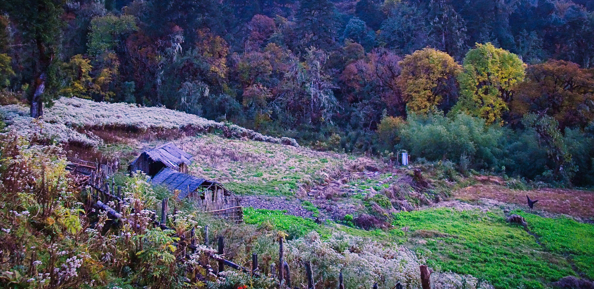 Fujifilm FinePix F200EXR sample photo. Certain side road of bhutan photography