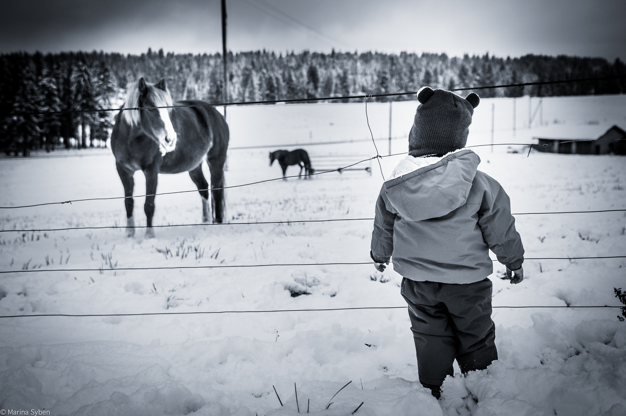 Nikon D90 + Sigma 18-35mm F1.8 DC HSM Art sample photo. Snowy encounter photography