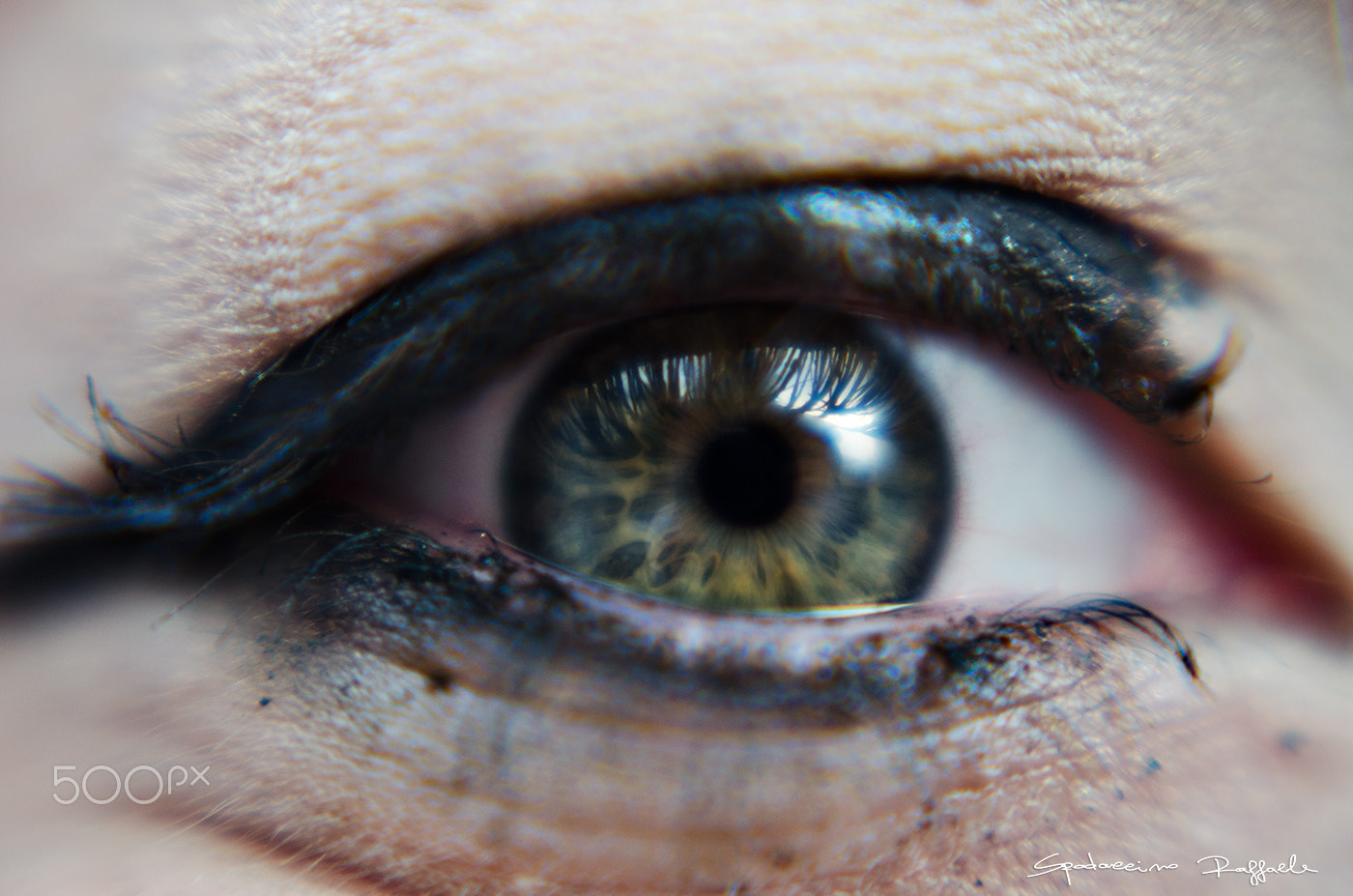 Nikon D5100 + Nikon AF Nikkor 50mm F1.8D sample photo. Eye photography