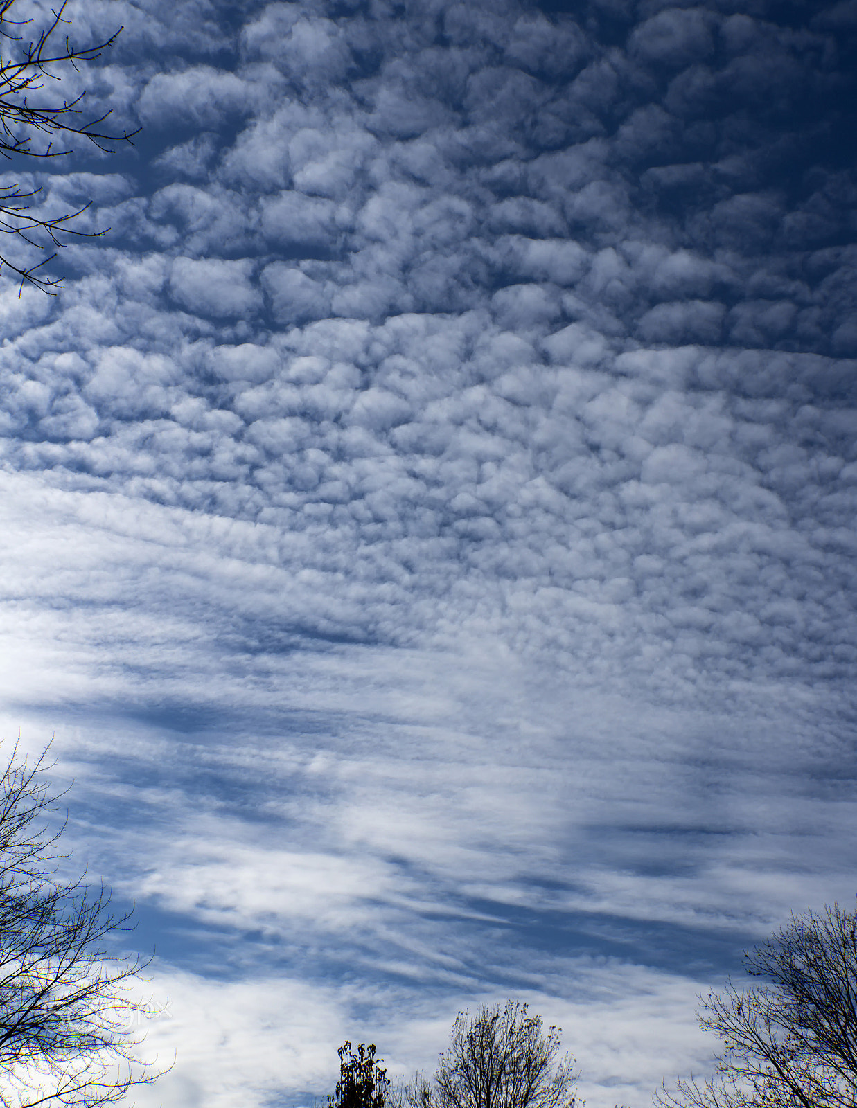 Canon EOS 760D (EOS Rebel T6s / EOS 8000D) + Canon EF 500mm F4L IS USM sample photo. Cornucopia of clouds photography