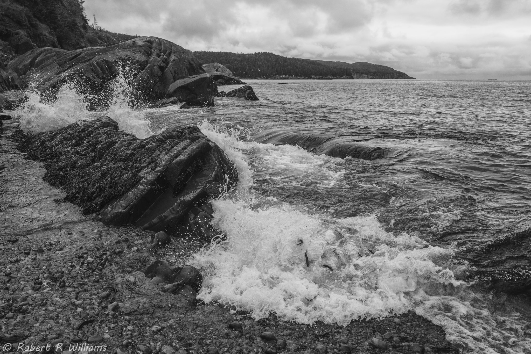 Nikon D800E + Nikon PC-E Nikkor 24mm F3.5D ED Tilt-Shift sample photo. Waves crashing into rocks at cape broyle, newfoundland photography
