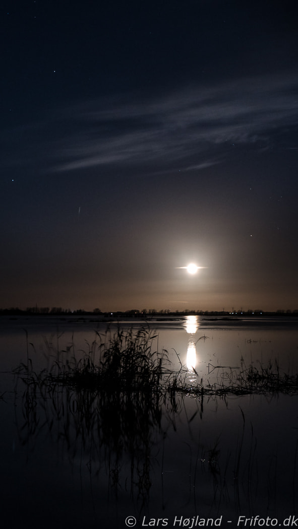 24-70mm F2.8-2.8 SSM sample photo. Moon rise photography