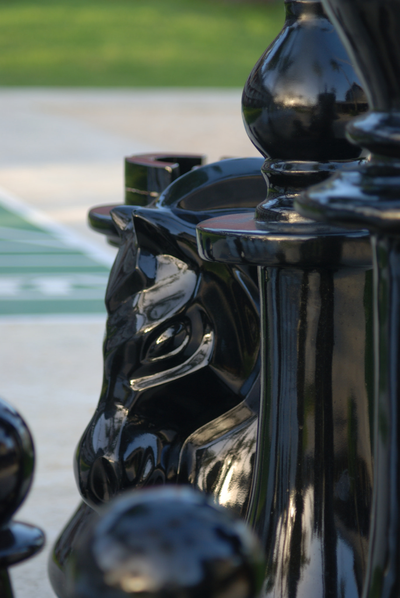 AF Zoom-Nikkor 70-300mm f/4-5.6D ED sample photo. Chessmate photography