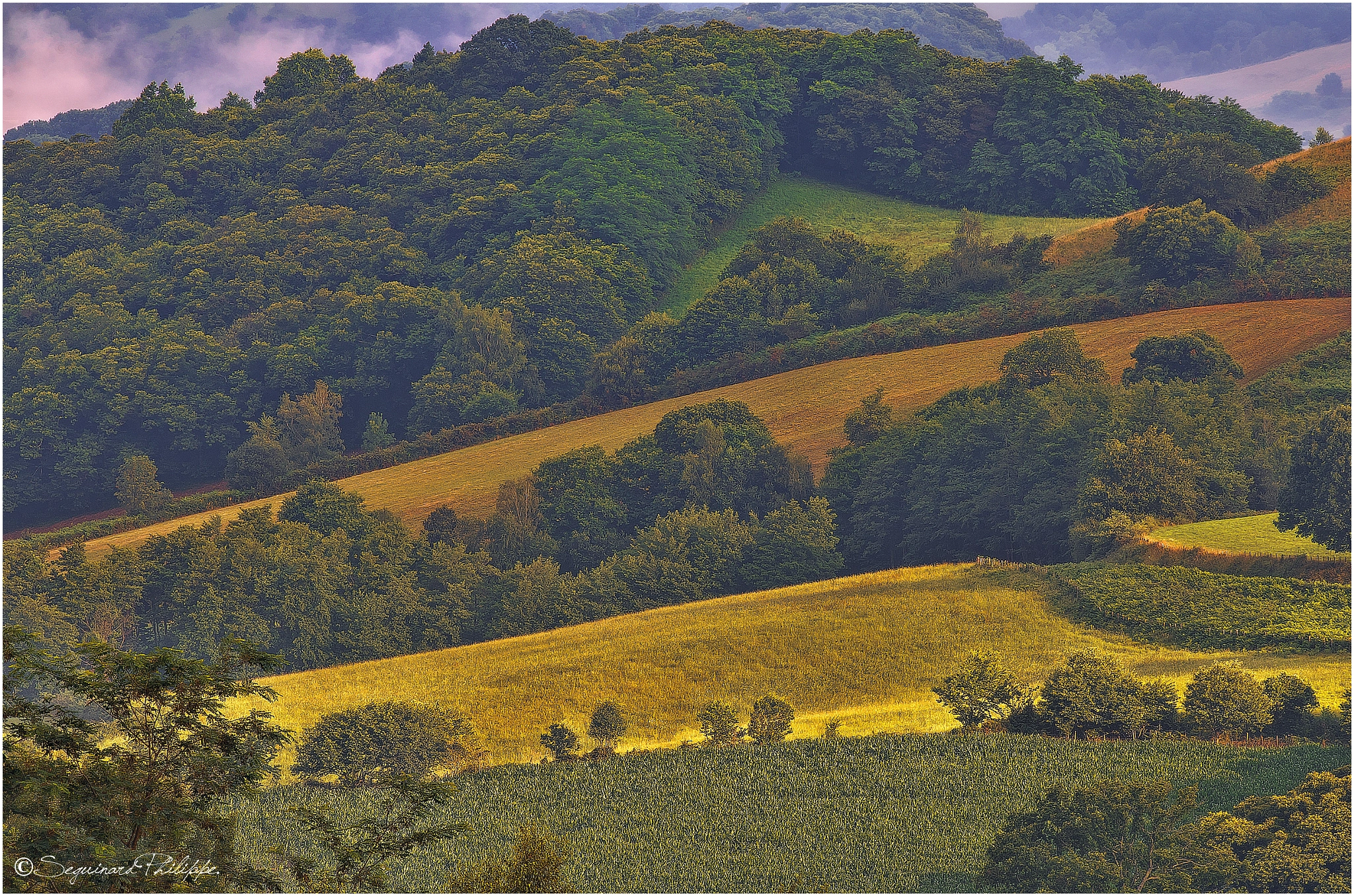 Pentax K-5 sample photo. Campagne basque photography