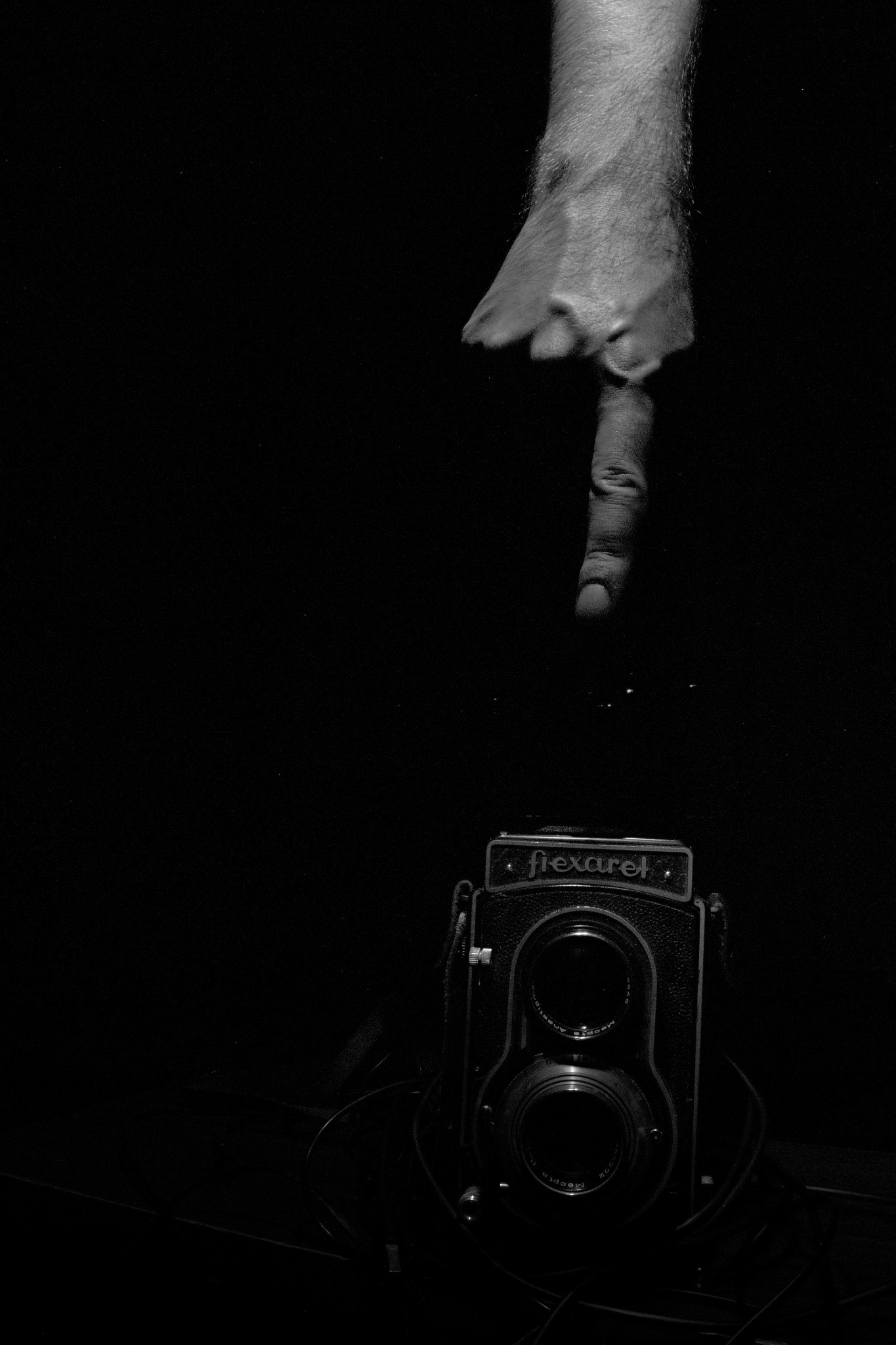 18.00 - 105.00 mm f/3.5 - 5.6 sample photo. Point into camera photography