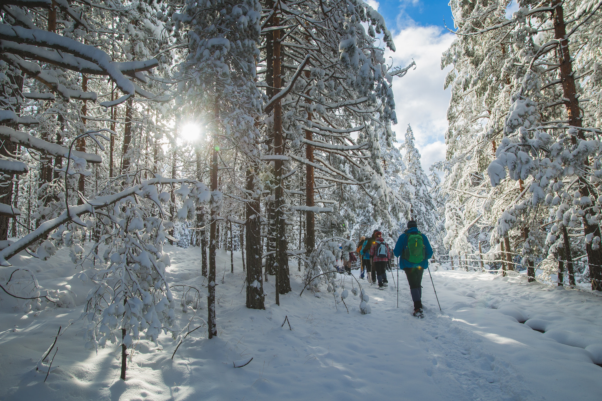 Sigma 20mm EX f/1.8 sample photo. Zlatibor mountian photography