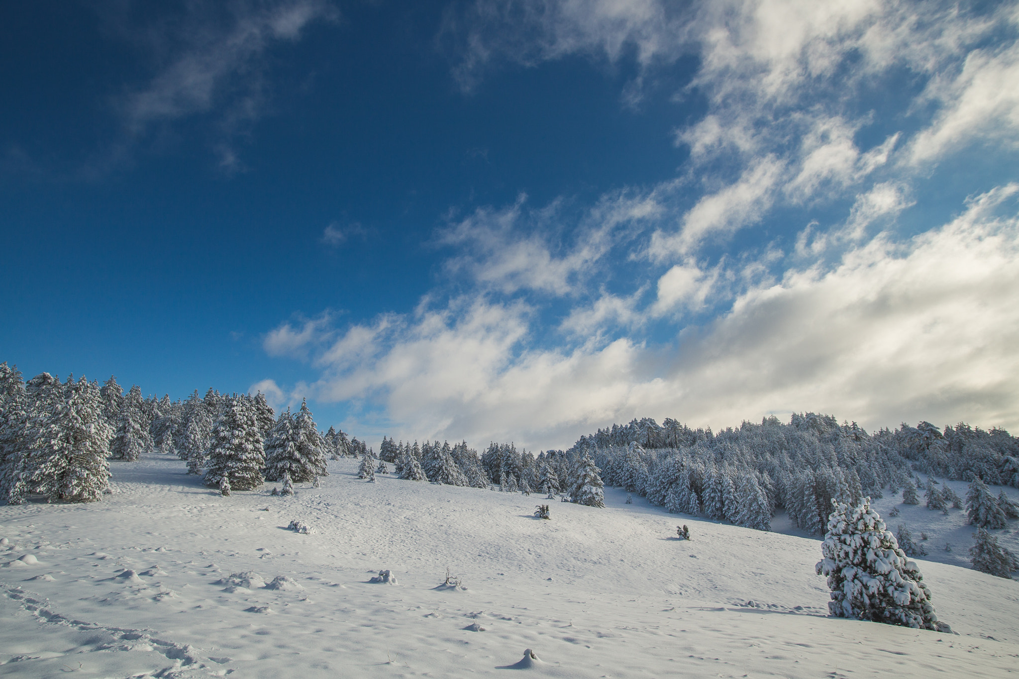 Sigma 20mm EX f/1.8 sample photo. Zlatibor mountian photography