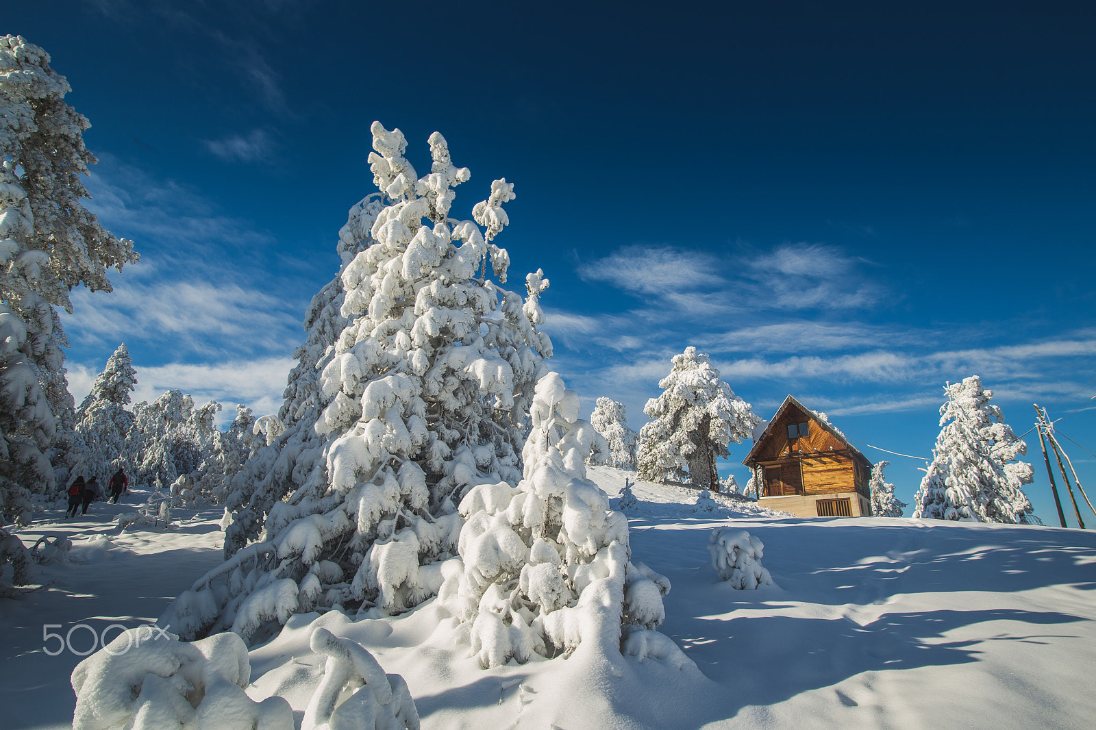 Sigma 20mm EX f/1.8 sample photo. Zlatibor mountian photography