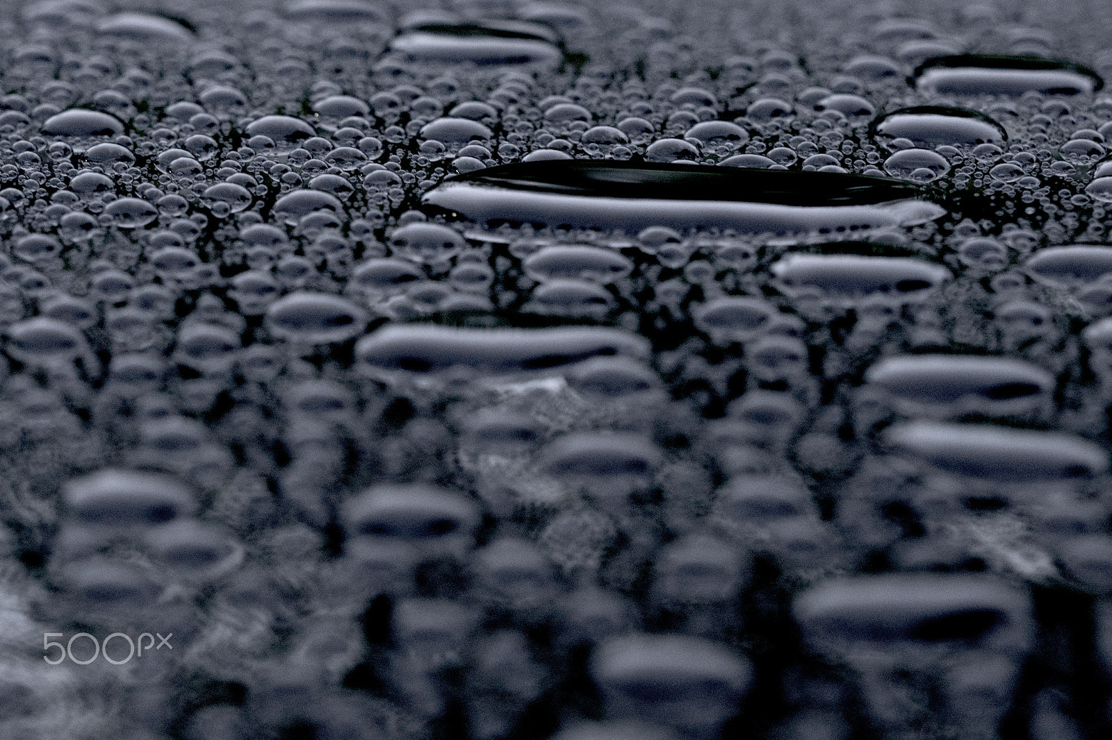 Sony ILCA-77M2 sample photo. Drops afloat photography