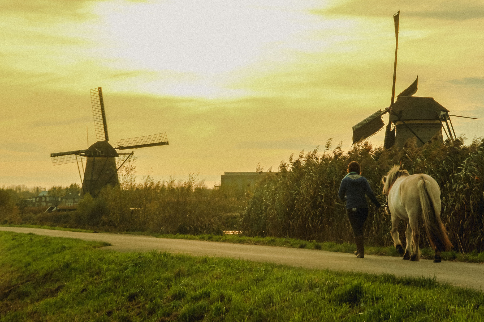 Canon EOS 550D (EOS Rebel T2i / EOS Kiss X4) sample photo. Kinderdijk photography