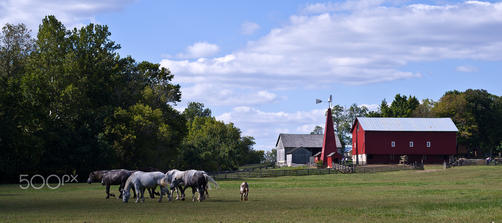 Pentax K-50 + smc PENTAX-F 50mm F1.7 sample photo. The pasture photography