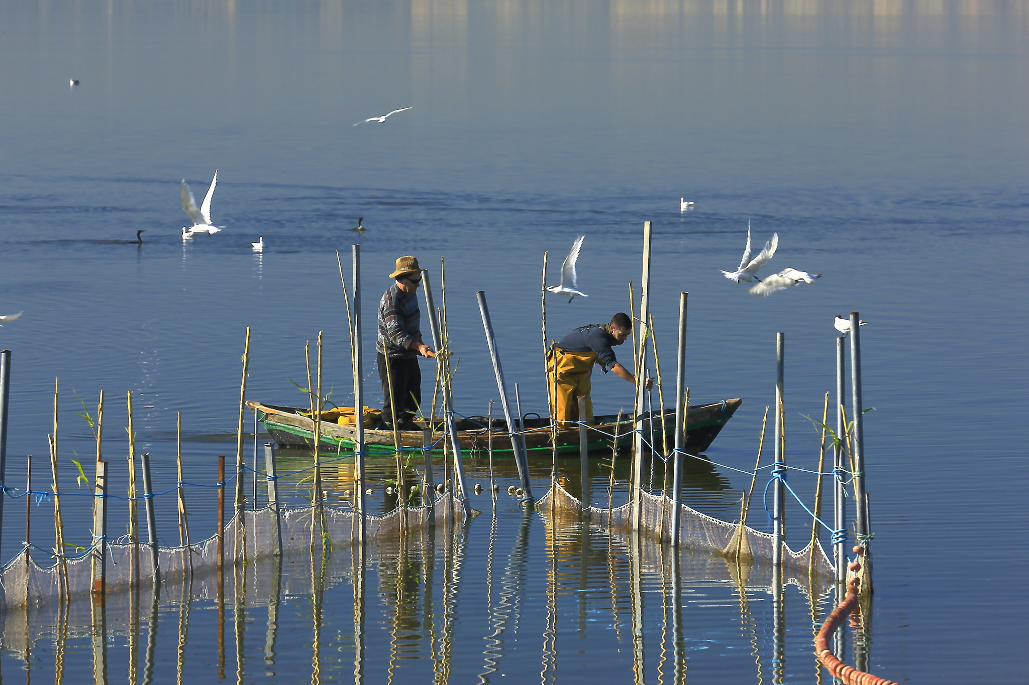 Canon EF 70-200mm F4L IS USM sample photo. Fishing of lagoon photography