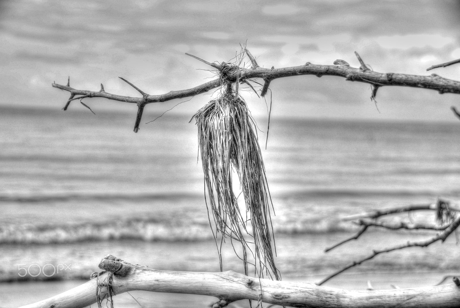 Sigma 18-200mm F3.5-6.3 DC OS HSM sample photo. On the beach photography