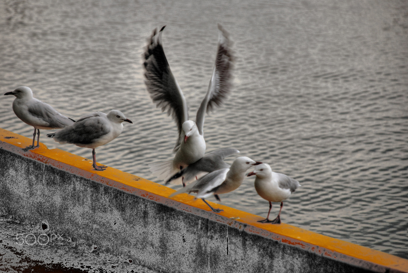 Sigma 18-200mm F3.5-6.3 DC OS HSM sample photo. That's my spot photography