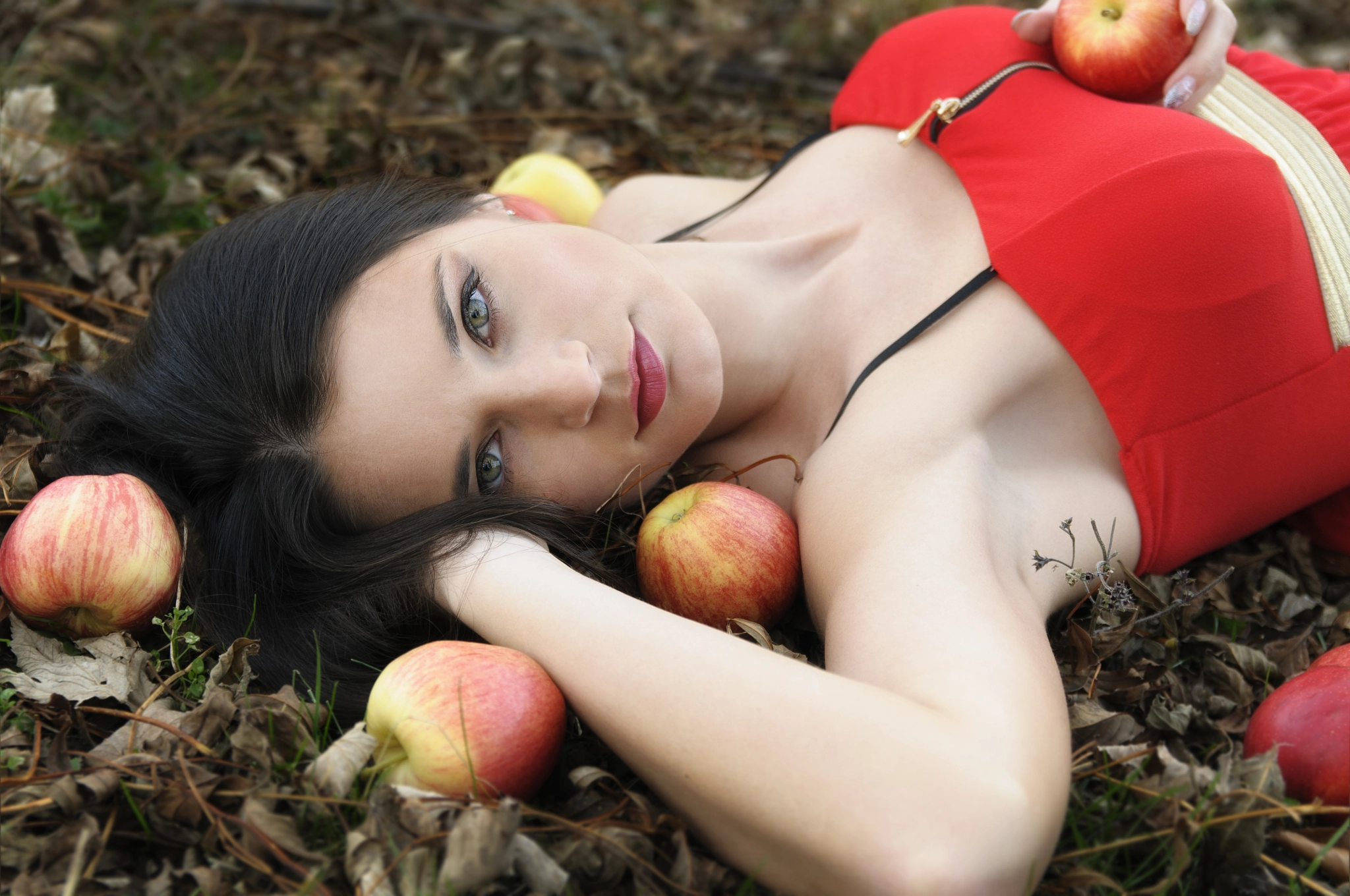 Nikon D300S + Sigma 18-50mm F2.8 EX DC Macro sample photo. Red apples photography