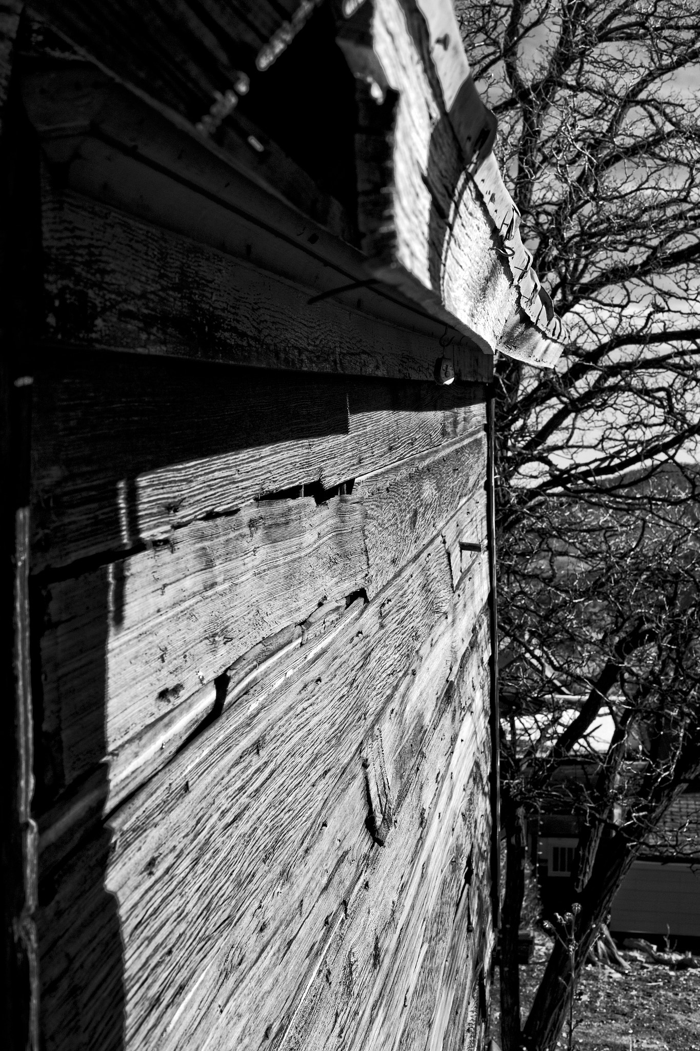 Canon EOS-1D X + Canon EF 50mm F1.4 USM sample photo. Old barn in virginia city, nv, november 2015 photography