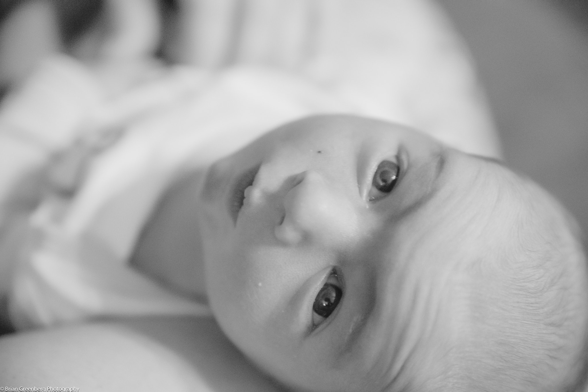 Tamron AF 28-75mm F2.8 XR Di LD Aspherical (IF) sample photo. Bright eyes photography