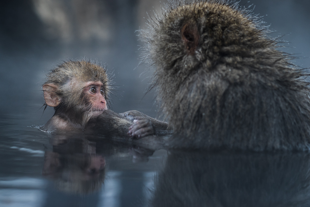Sony Sonnar T* 135mm F1.8 ZA sample photo. Mother and child photography
